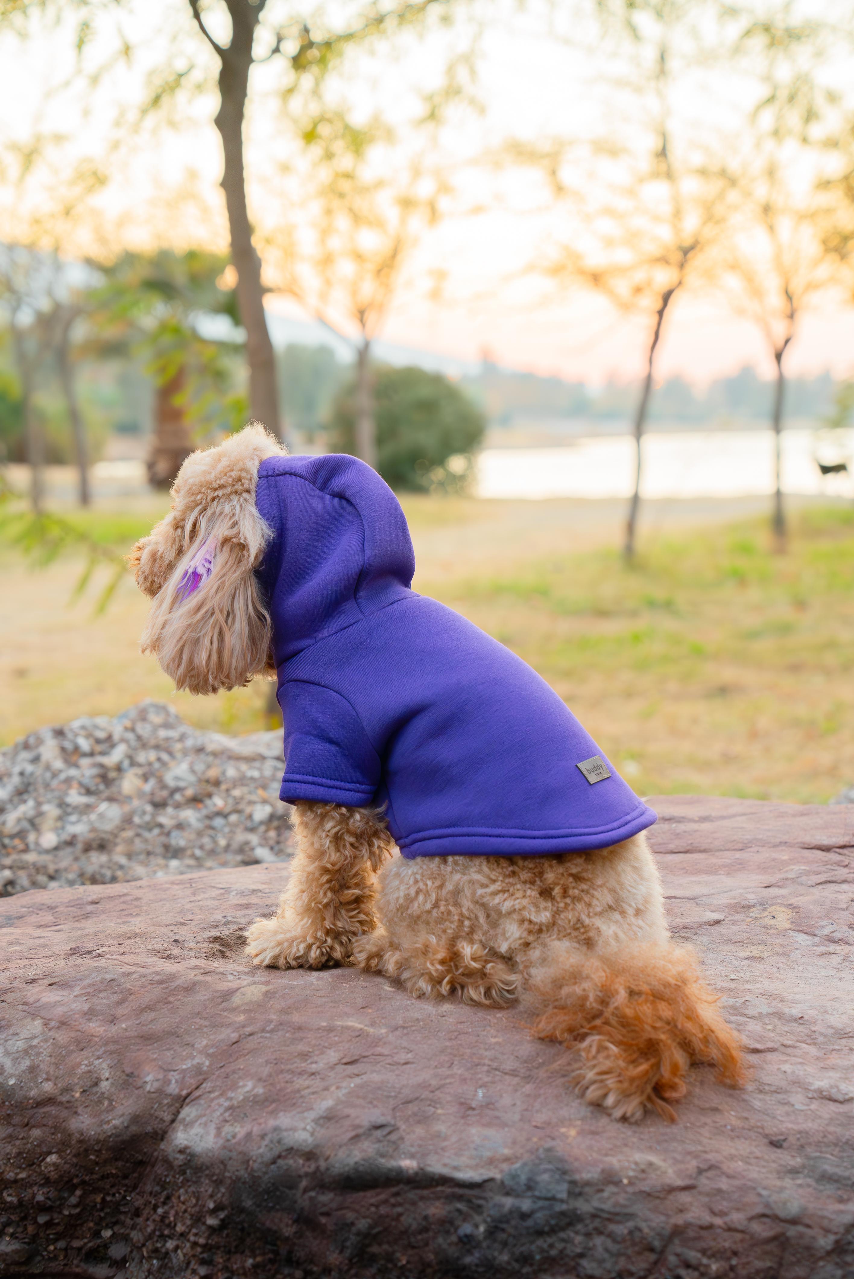 Kedi & Köpek Kıyafeti Sweatshirt - Baskısız Mor Sweatshirt