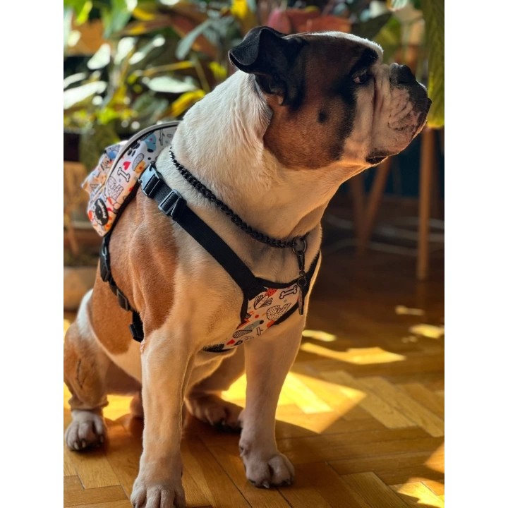 Kedi Köpek Tasmalı Sırt Çantası Küçük Boy
