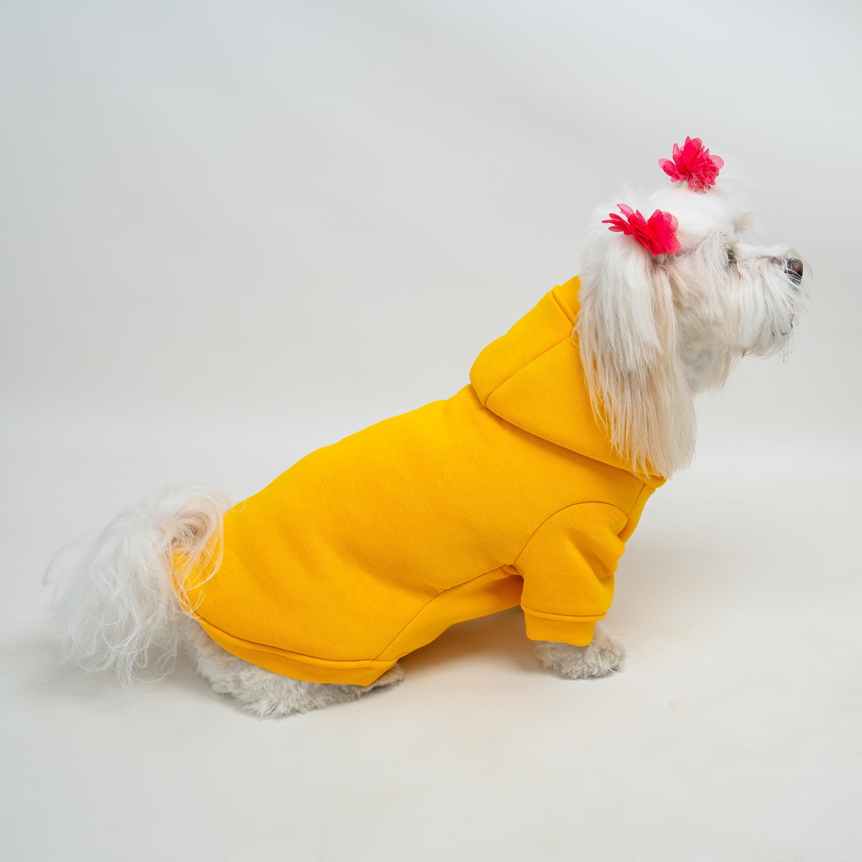 Kedi & Köpek Kıyafeti Sweatshirt - Belalı Civciv Baskılı Sarı Sweatshirt