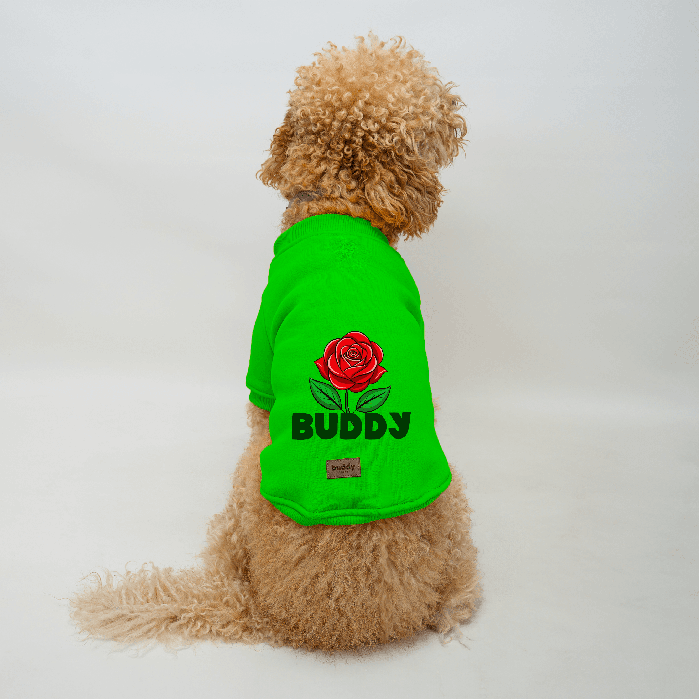 Yeşil Kapüşonsuz Sweatshirt B2B (5'li Set) XS-S-M-L-XL - Buddy