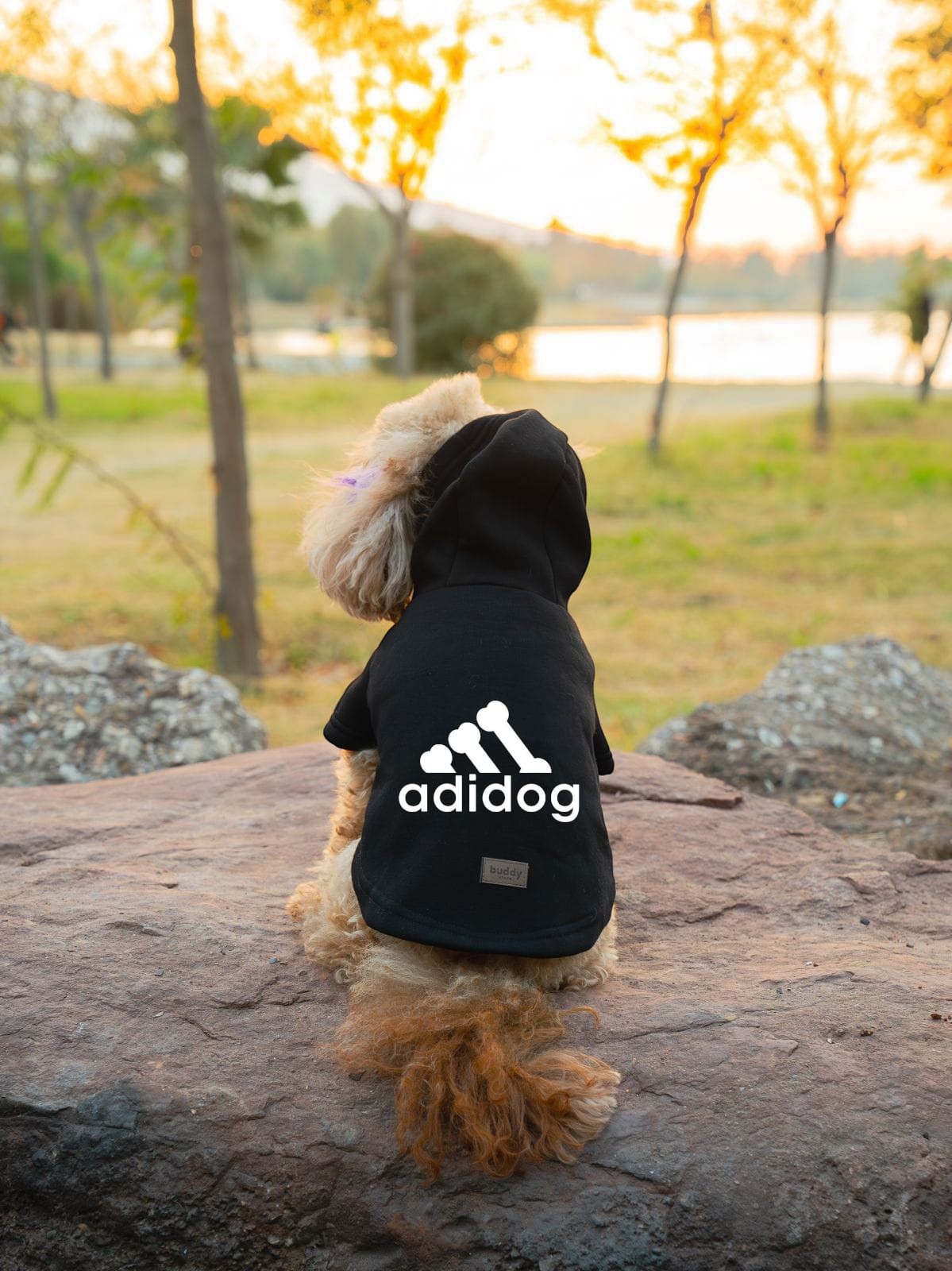 Kedi & Köpek Kıyafeti Sweatshirt - Adidog Baskılı Siyah Sweatshirt
