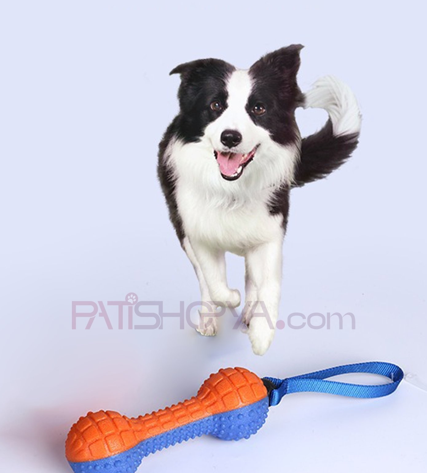 DUMBELL MODEL KÖPEK ISIRMA OYUNCAK