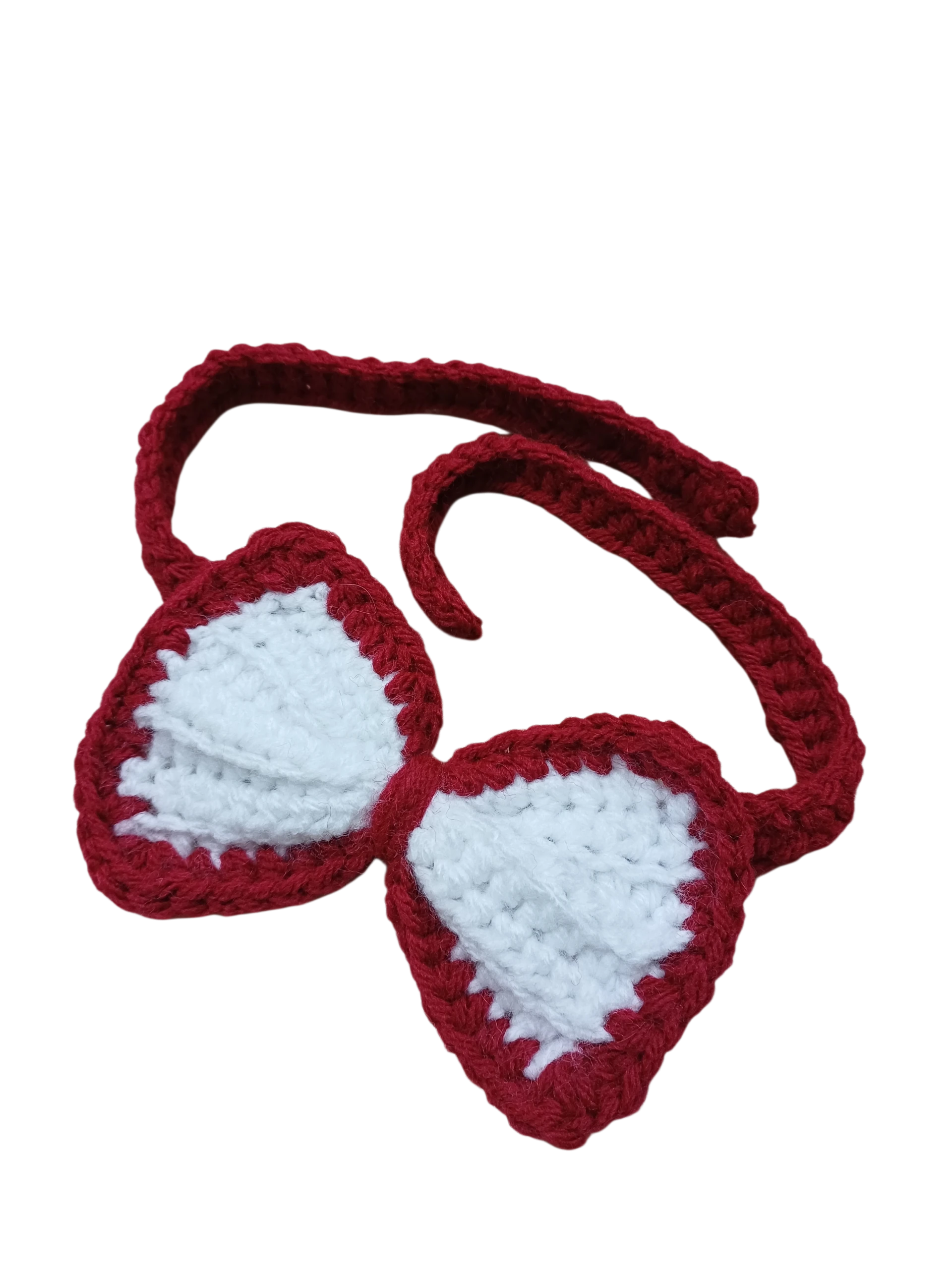 Evcil Hayvan Papyon - El Örmesi image