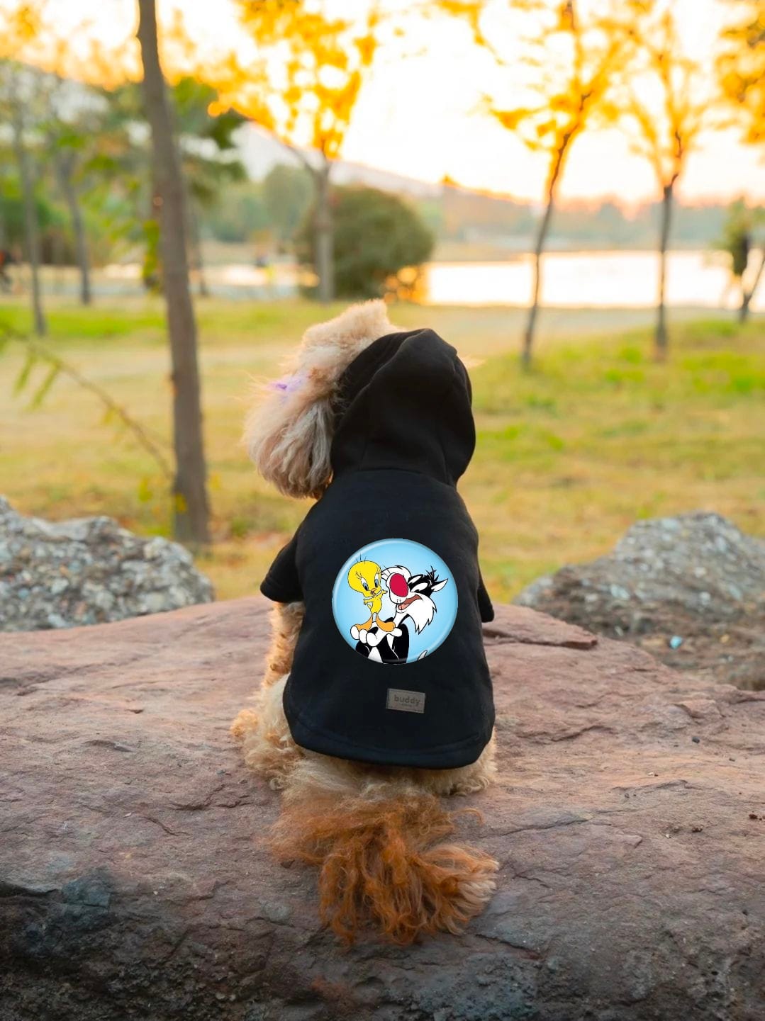 Kedi & Köpek Kıyafeti Sweatshirt - Tweety&Silvester Baskılı Siyah Sweatshirt image