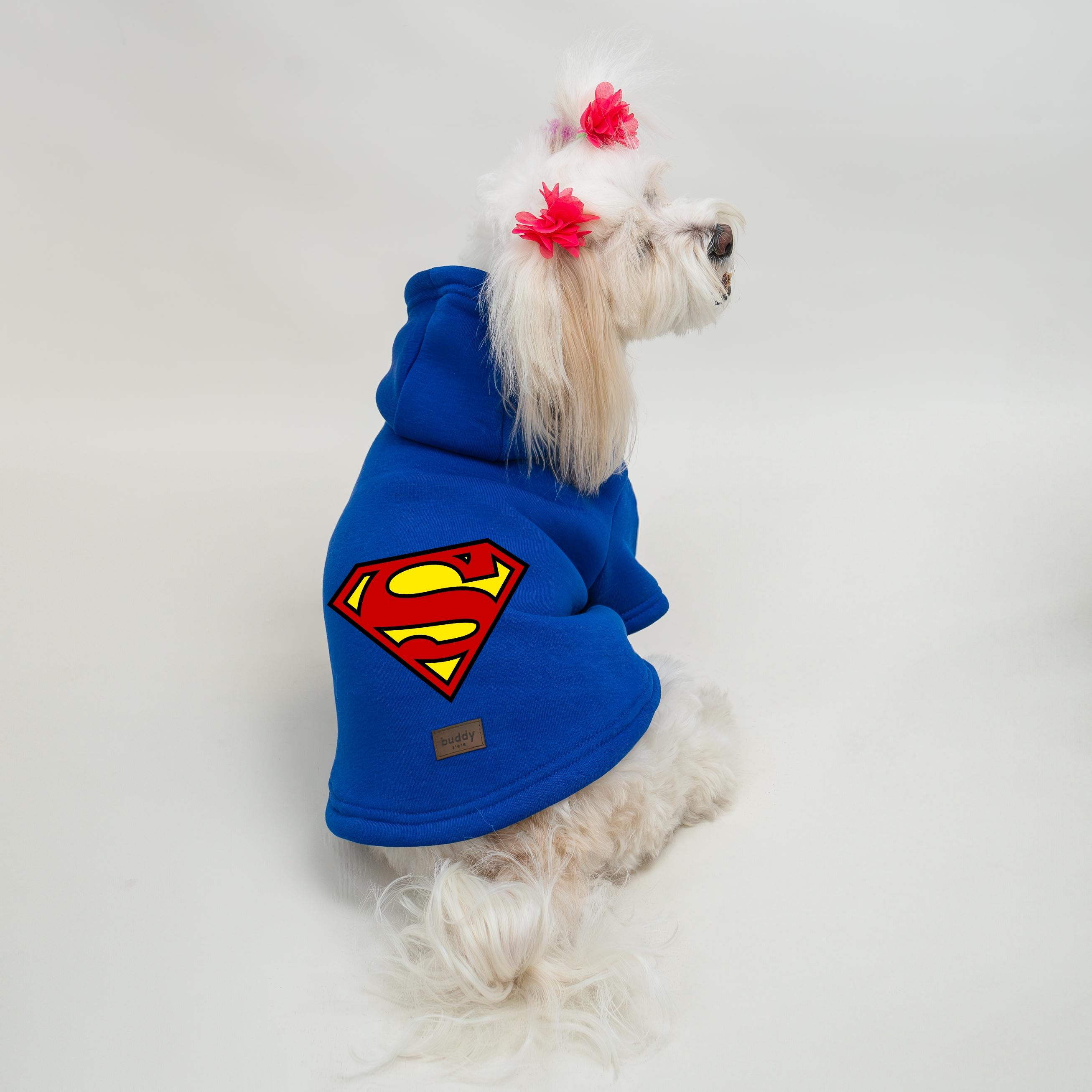 Kedi & Köpek Kıyafeti Sweatshirt -  Saks Mavi Baskısız Sweatshirt - Saks Superman