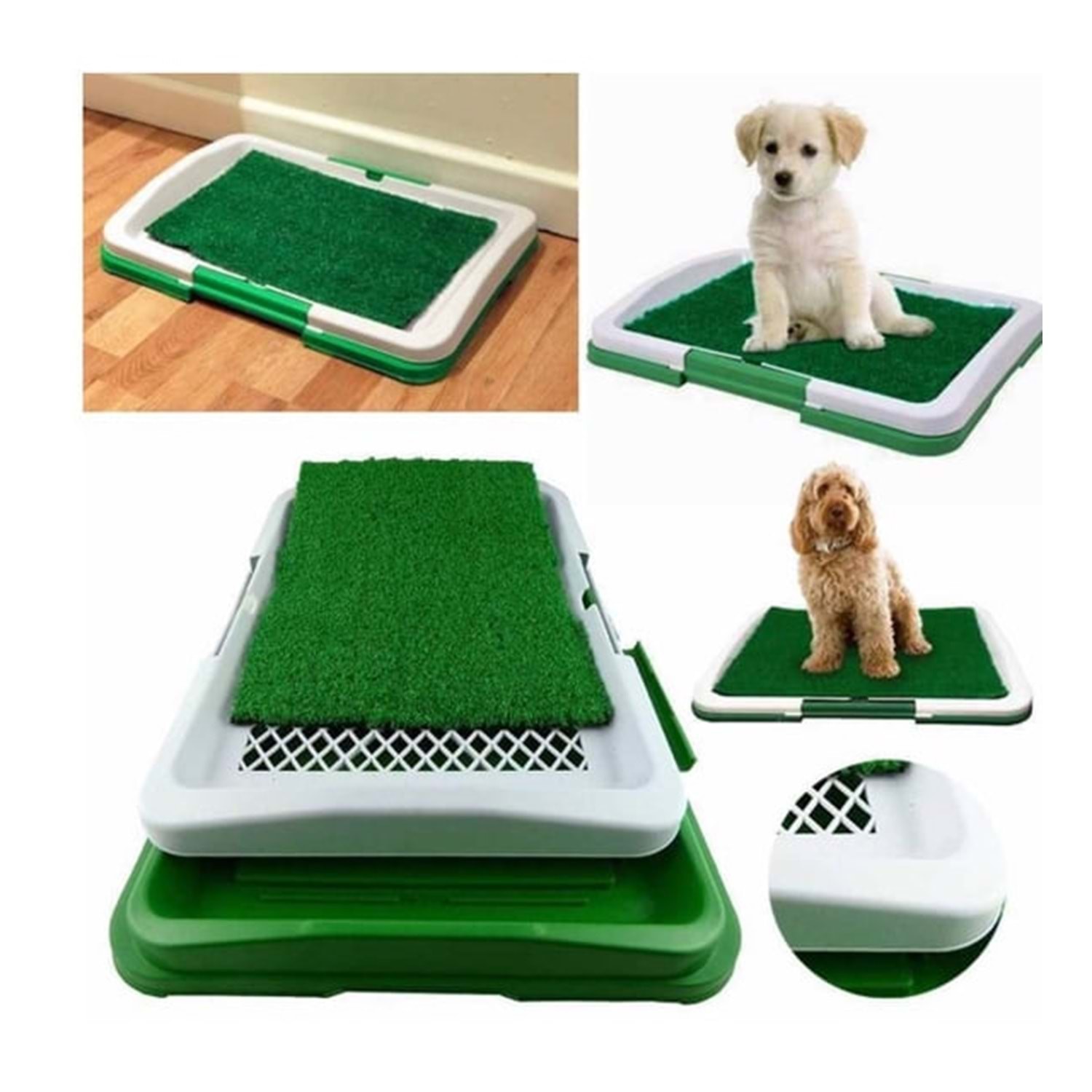 Köpekler İçin Çim Eğitim Seti