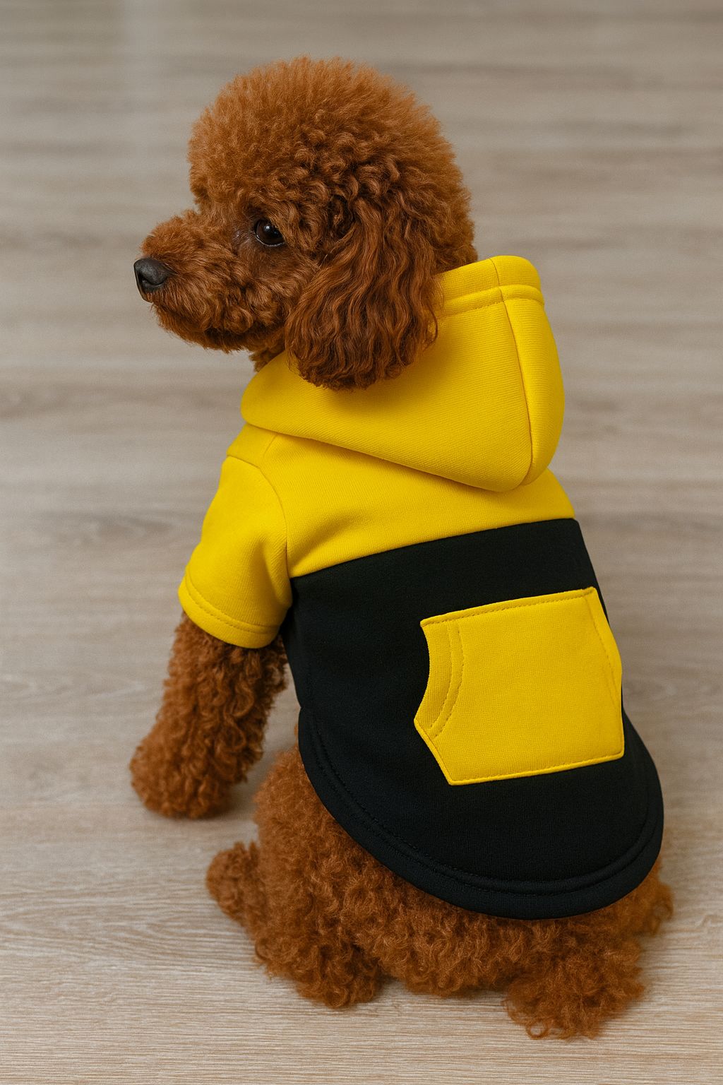  Kontrast Koleksiyonu Kapüşonlu Köpek Sweatshirt – Küçük ve Orta Irklar için Rahat ve Şık Hoodie (S-M-L-XL-2XL) B2B - Sarı-Siyah