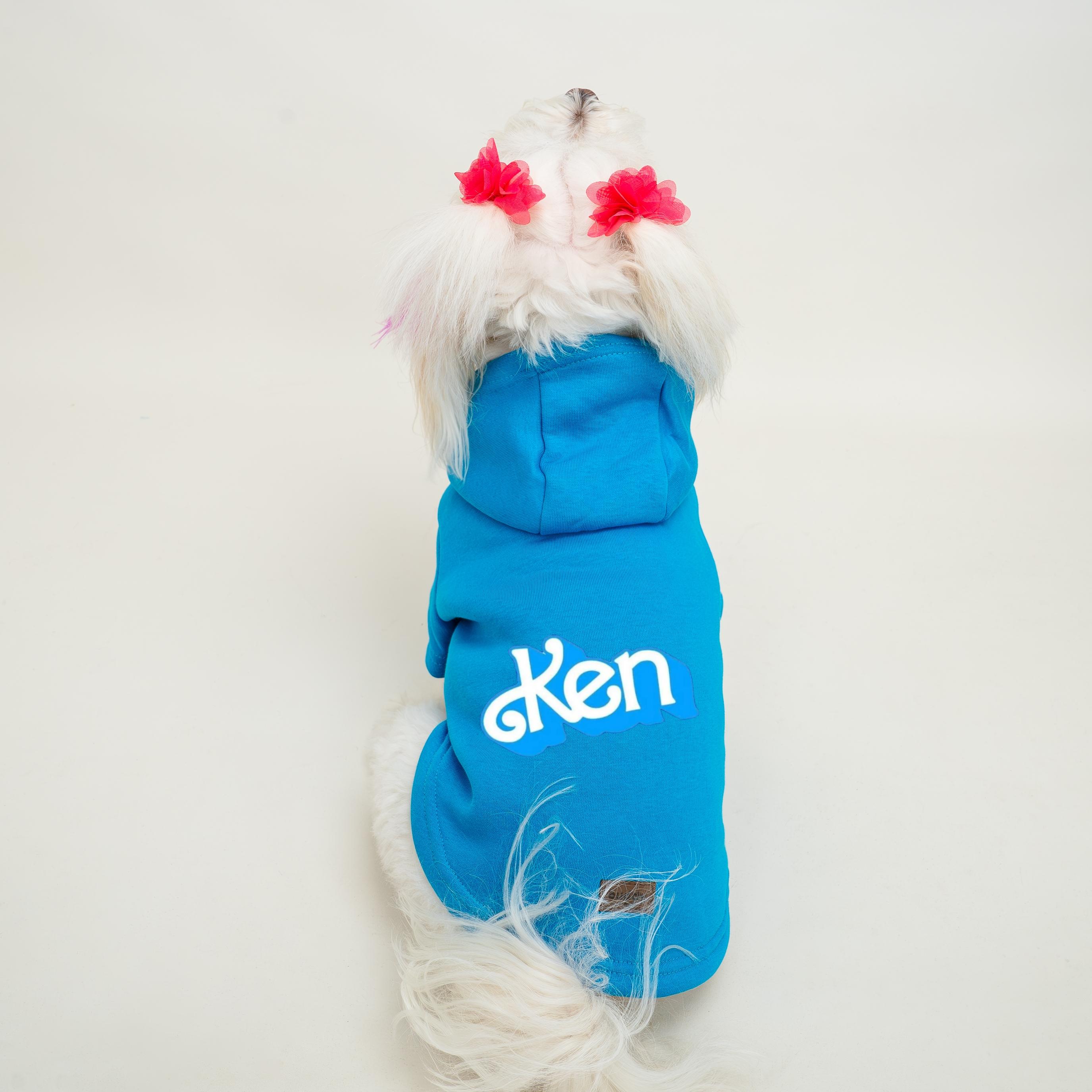 Kedi & Köpek Kıyafeti Sweatshirt - Ken Baskılı Mavi Sweatshirt