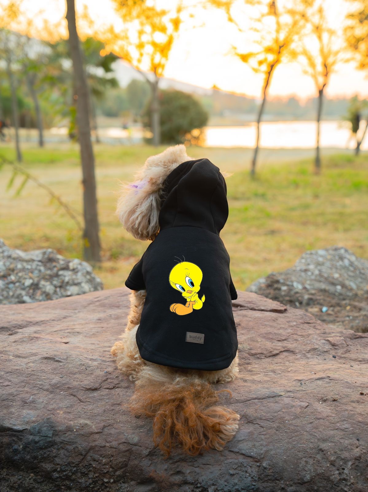 Kedi & Köpek Kıyafeti Sweatshirt - Tweety Baskılı Siyah Sweatshirt