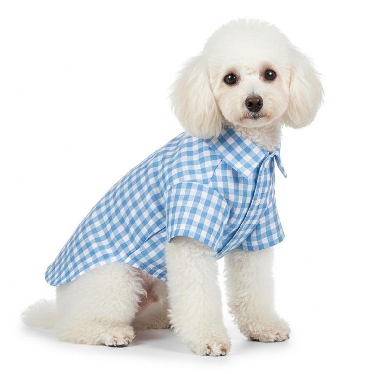 YENİ SEZON ! - Özel Gün Gömlekleri - Kedi ve Köpekler İçin  - Bebe Mavisi Kareli