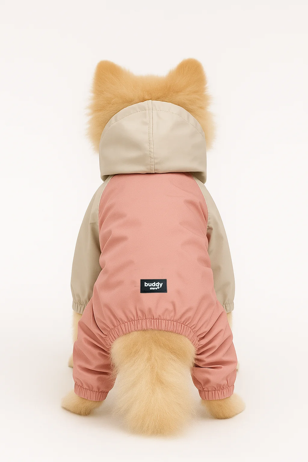 Celeste Premium Pet Raincoat - Kedi & Köpek Yağmurluk & Rüzgarlığı