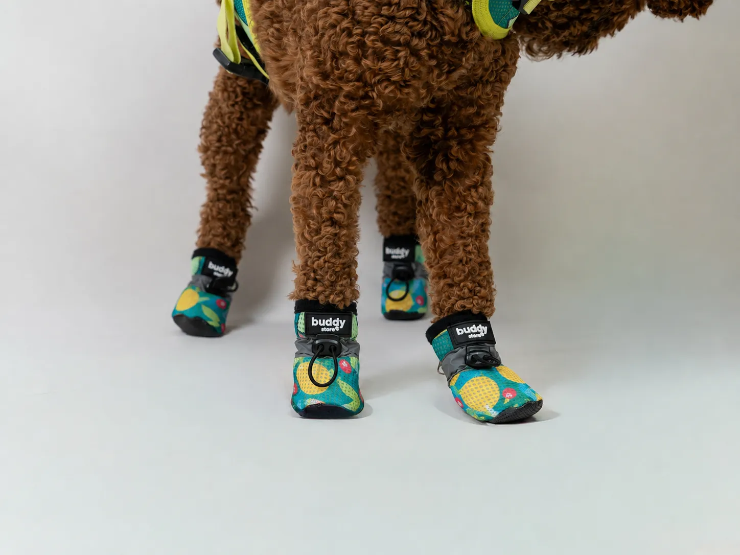 Tropic Air Köpek Ayakkabısı (Yağışsız havalara uygun)