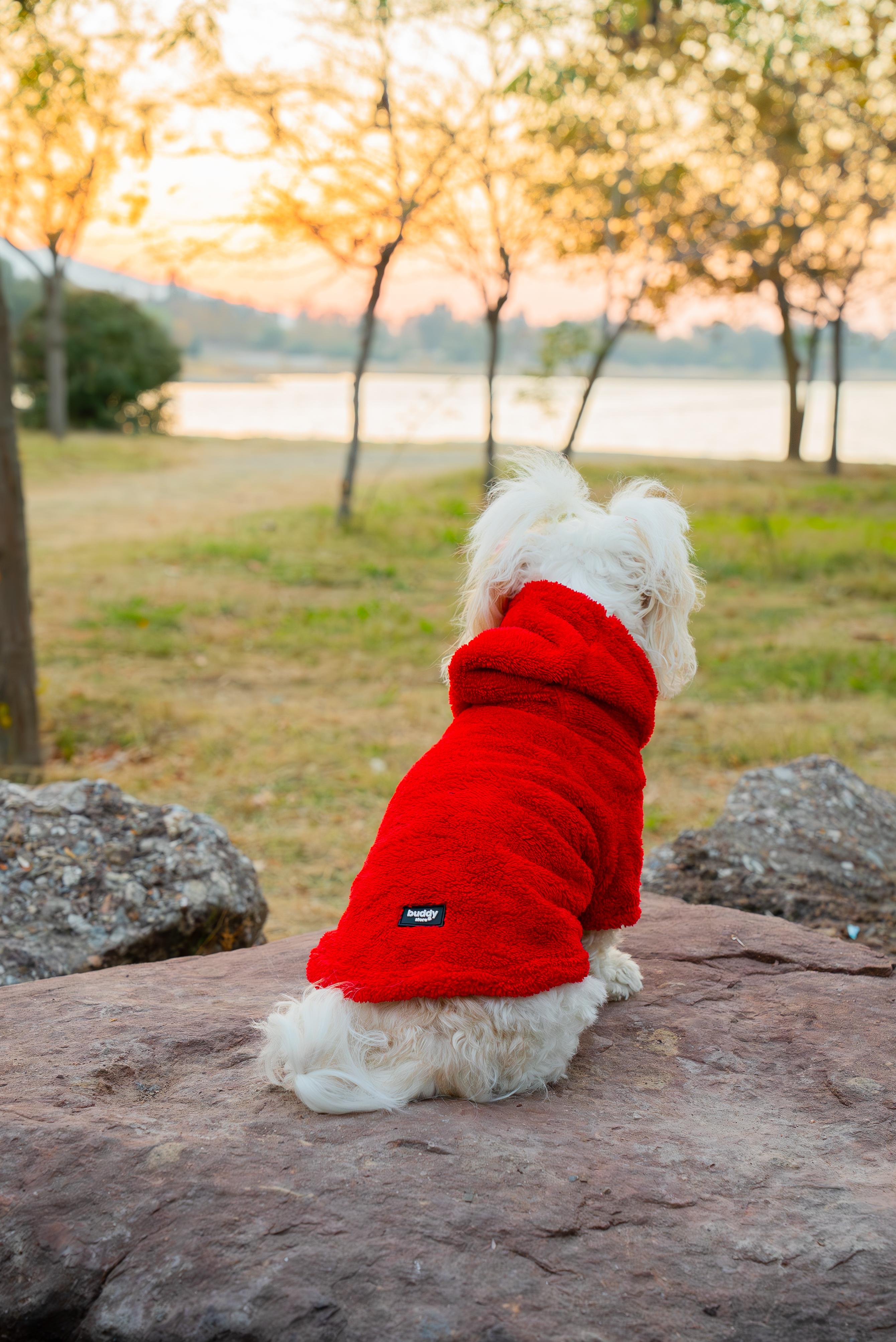 Köpek Kıyafeti Peluş Sweatshirt - Kapüşonlu Koleksiyon - Kırmızı