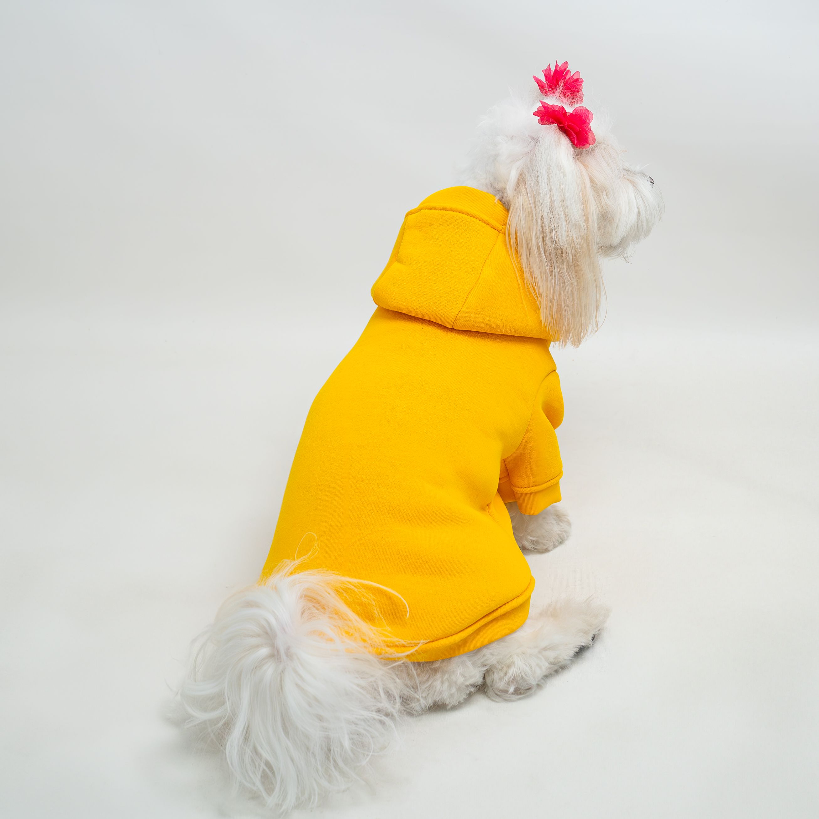 Kedi & Köpek Kıyafeti Sweatshirt - Baskısız Sarı Sweatshirt