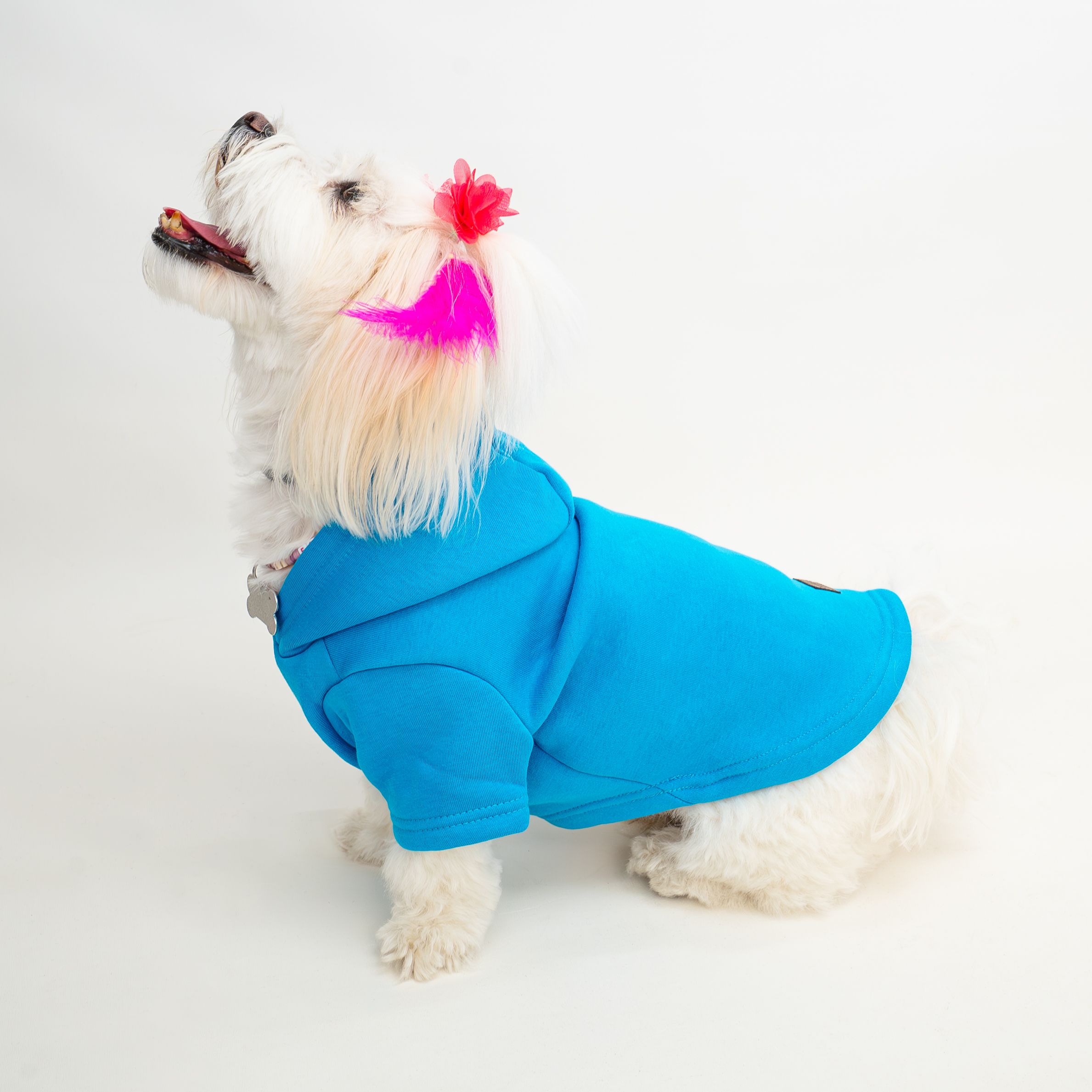 Kedi & Köpek Kıyafeti Sweatshirt - Ken Baskılı Mavi Sweatshirt