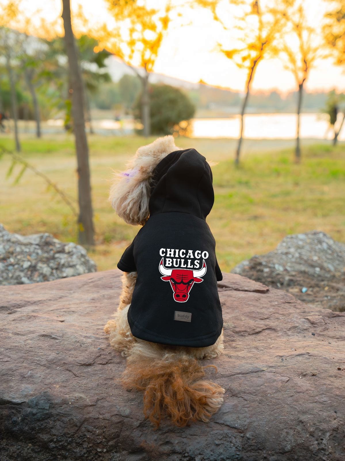 Kedi & Köpek Kıyafeti Sweatshirt - Chicago Bulls Baskılı Siyah Sweatshirt