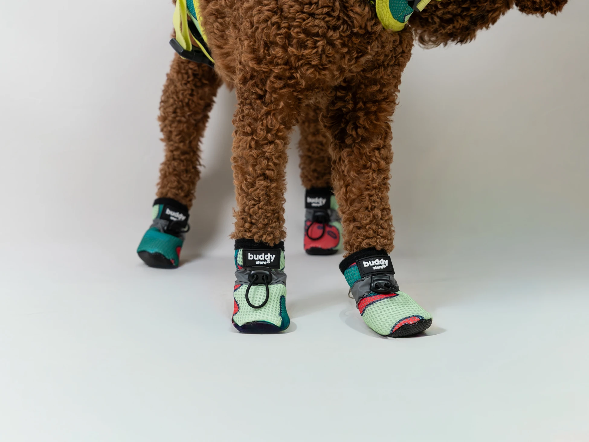 Dino Air Köpek Ayakkabısı (Yağışsız havalara uygun)
