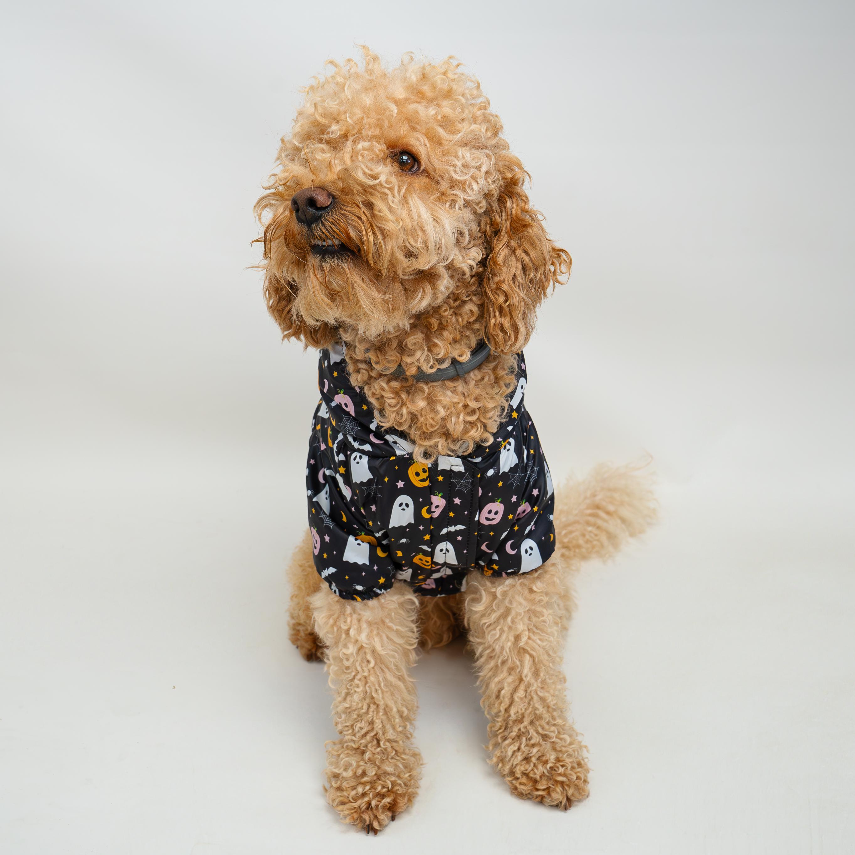 Kedi & Köpek Kıyafeti Yağmurluk - Su Geçirmez Waterproof Kumaş