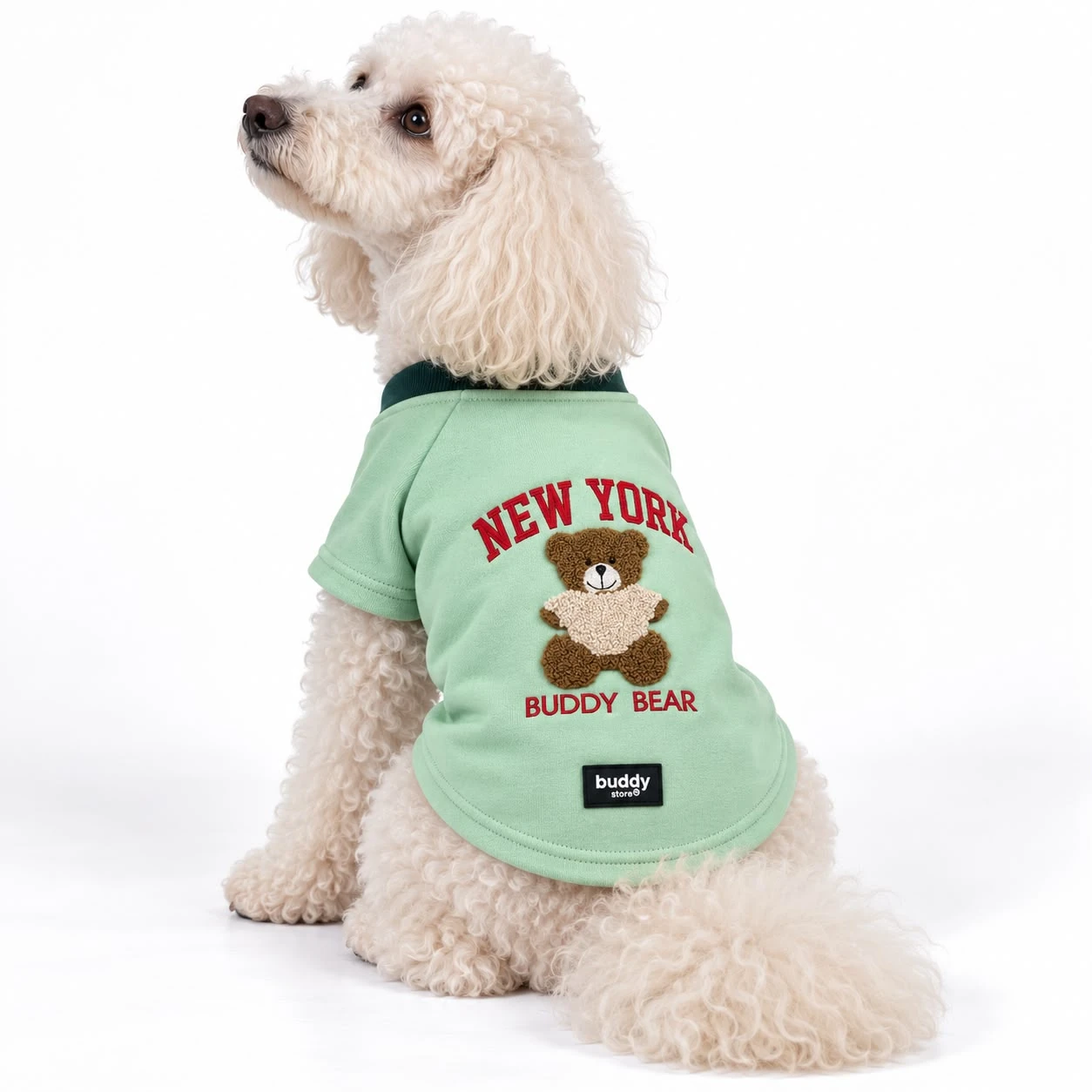 New York Buddy Bear Süzene Nakışlı Köpek Sweatshirt – Mint Yeşili