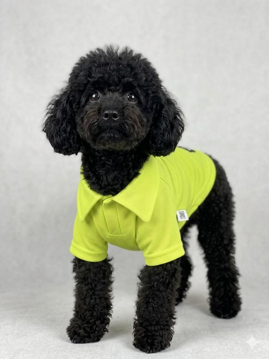 Polo Yaka T-Shirt %100 Pamuk Pike Neon Sarı
