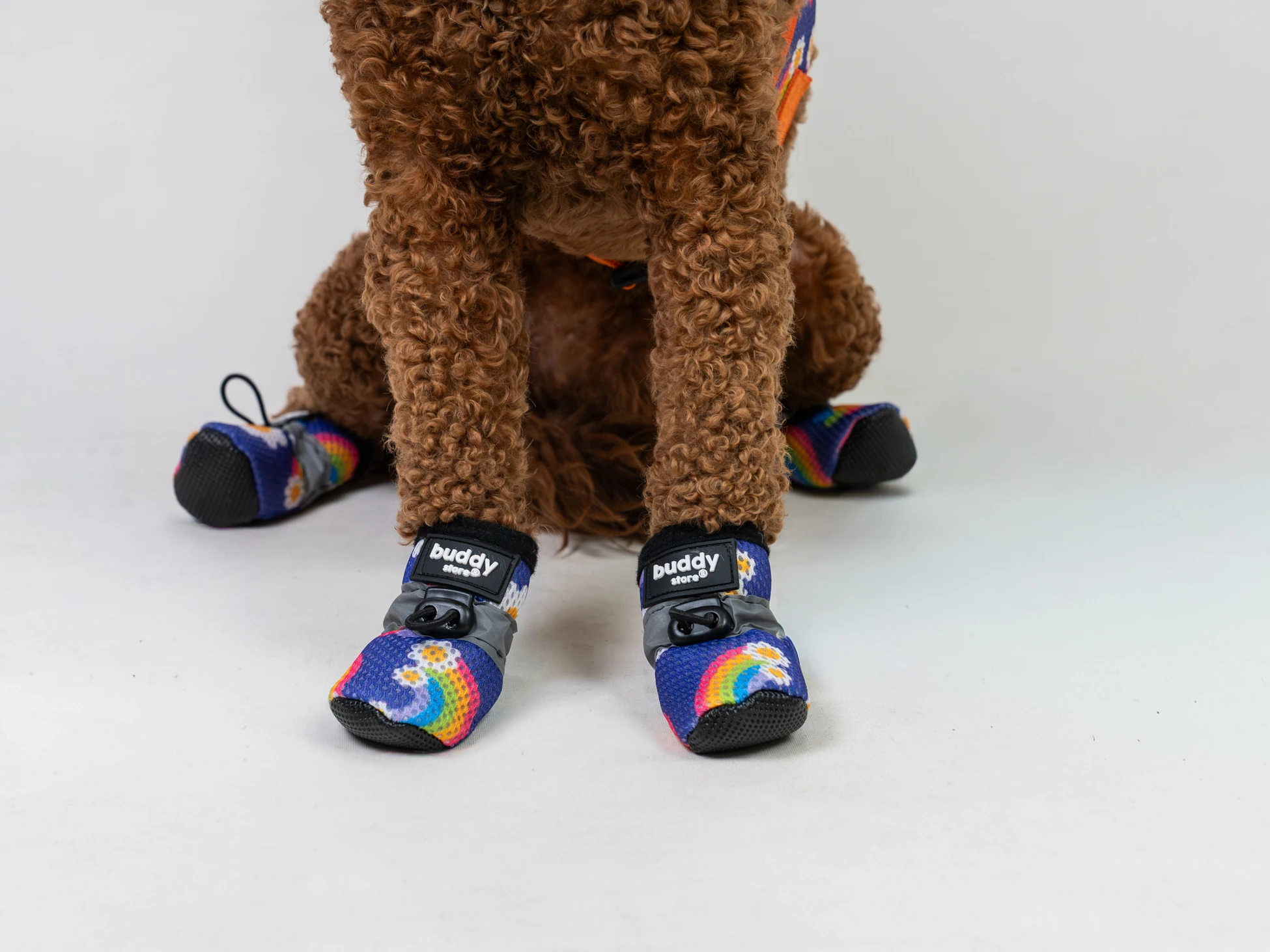 Rainbow Air Köpek Ayakkabısı (Yağışsız havalara uygun)