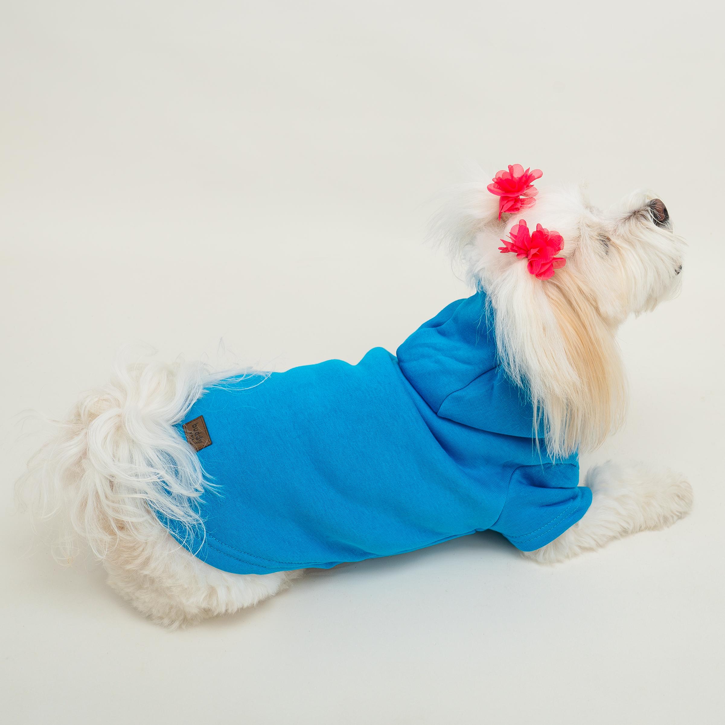Kedi & Köpek Kıyafeti Sweatshirt - Ken Baskılı Mavi Sweatshirt