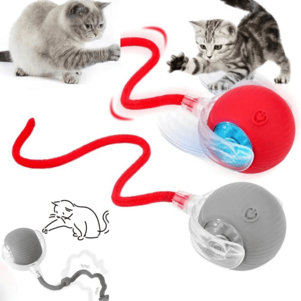 İnteraktif Şarjlı kedi oyun topu