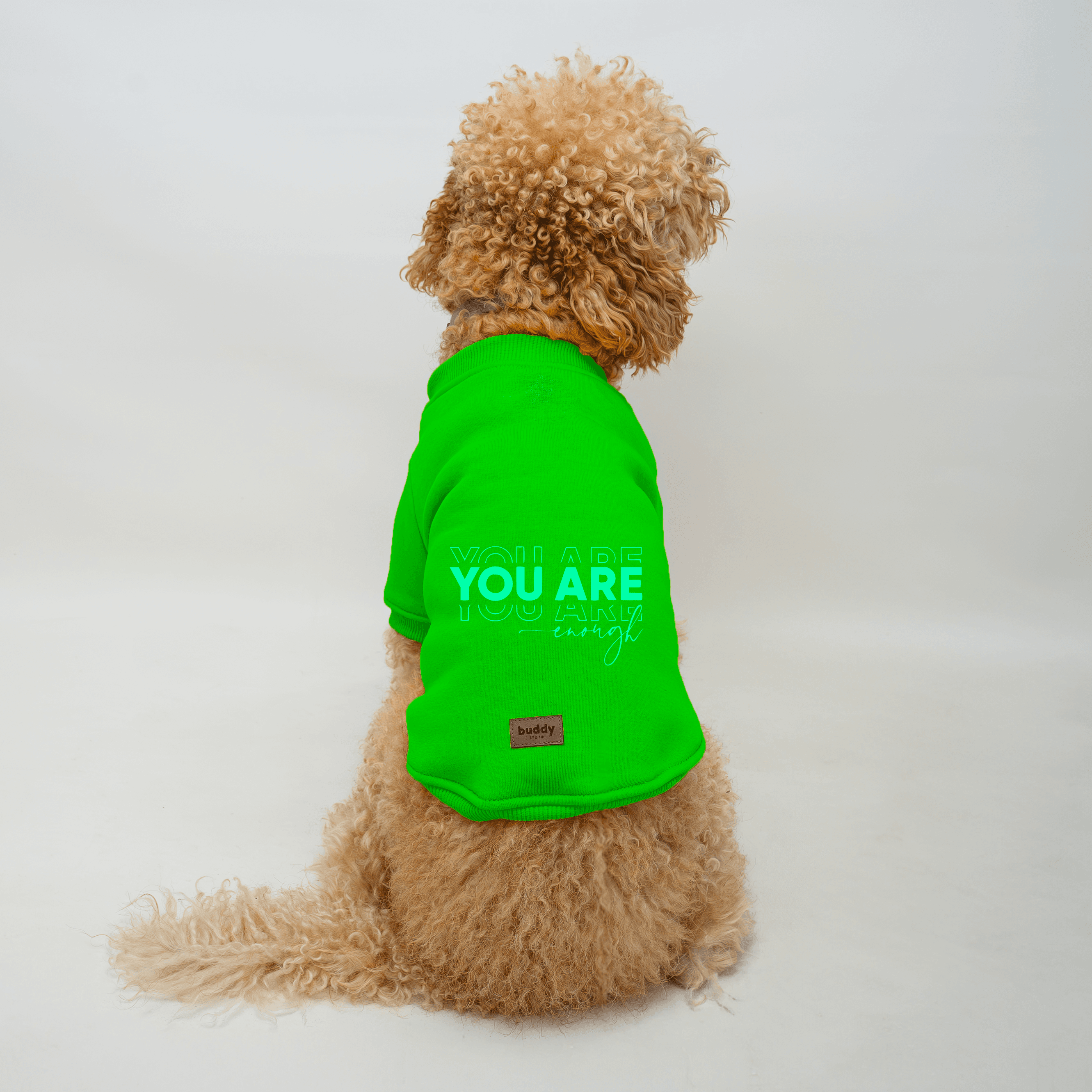 Yeşil Kapüşonsuz Sweatshirt B2B (5'li Set) XS-S-M-L-XL - You Are