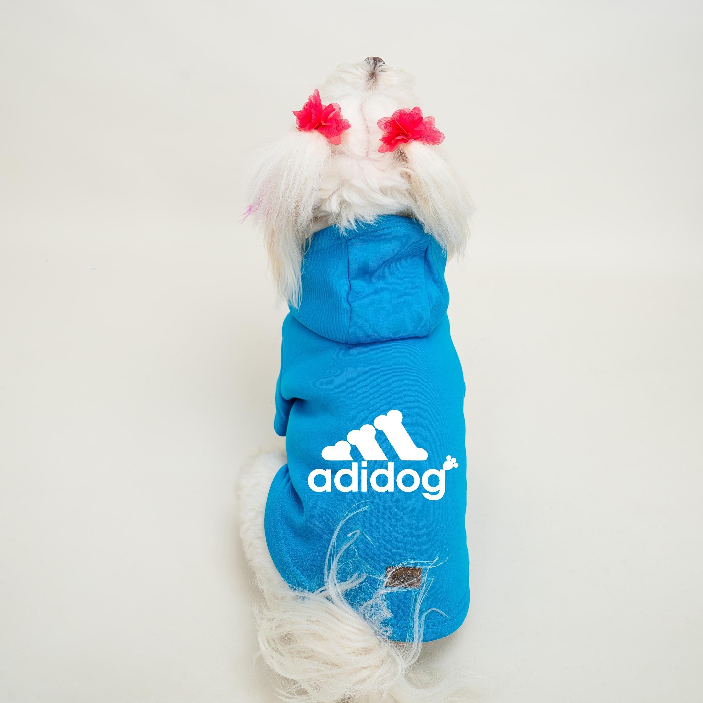 Mavi Kapüşonsuz Sweatshirt B2B (5'li Set) XS-S-M-L-XL - Adidog