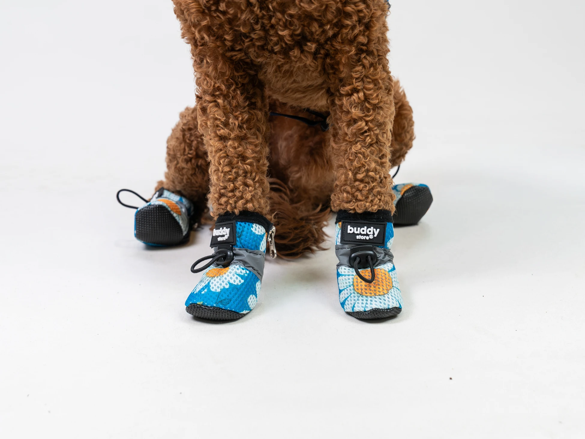 Daisy Blue Air Köpek Ayakkabısı (Yağışsız havalara uygun)