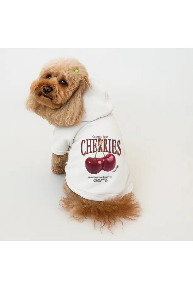 Kedi & Köpek Kıyafeti Beyaz Sweatshirt Hoodie