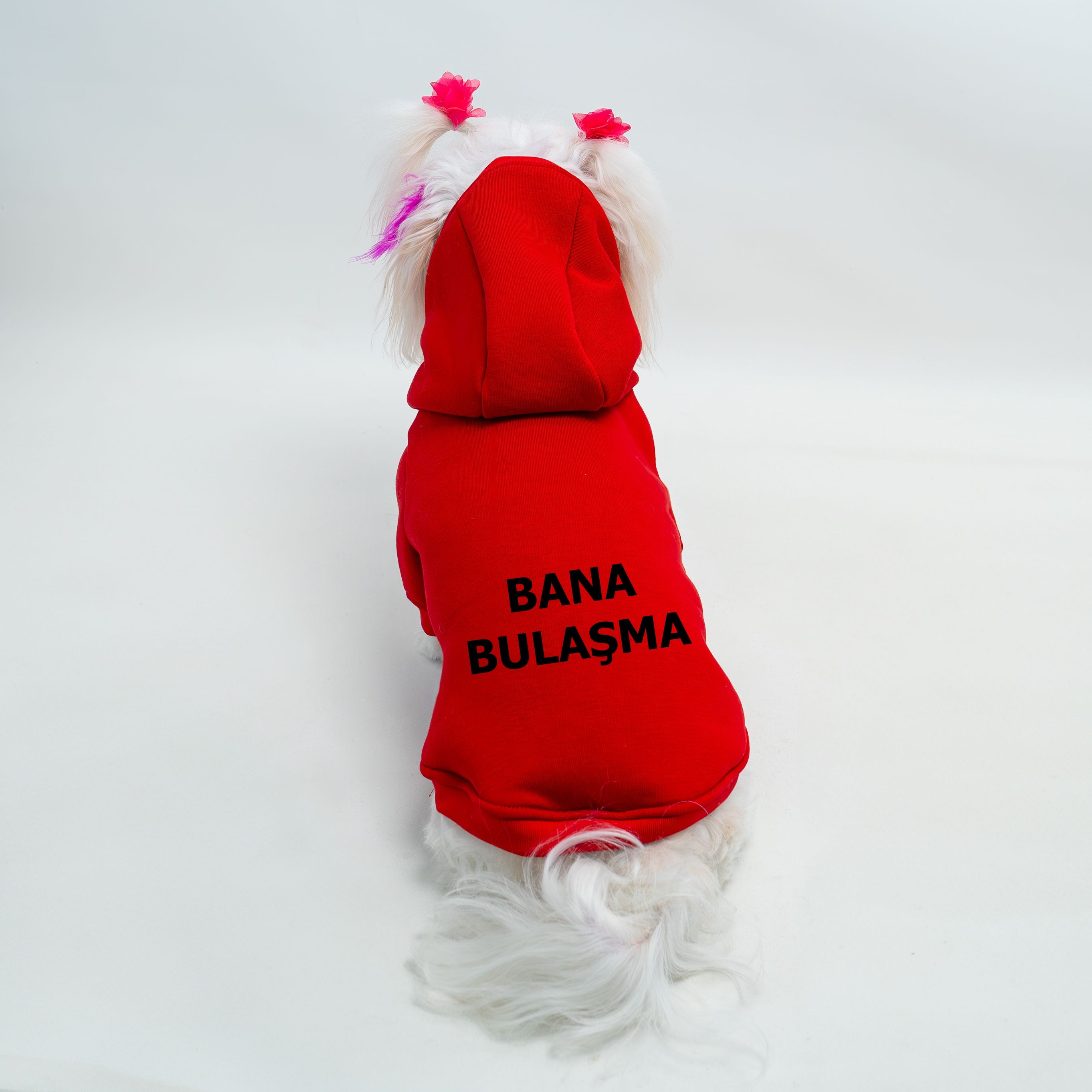 Kedi & Köpek Kıyafeti Sweatshirt - Bana Bulaşma Baskılı Kırmızı Sweatshirt