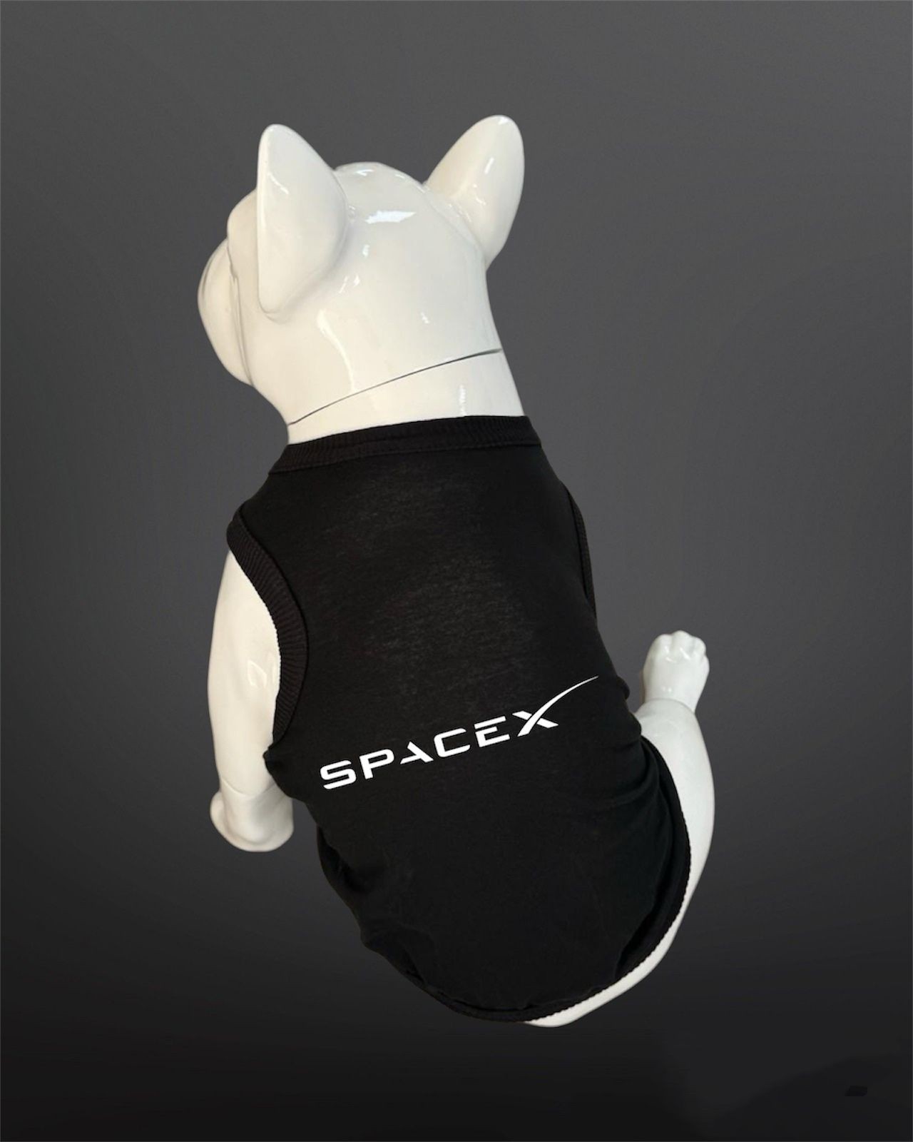 Kedi & Köpek Kıyafeti Atlet - Spacex Baskılı Siyah Atlet