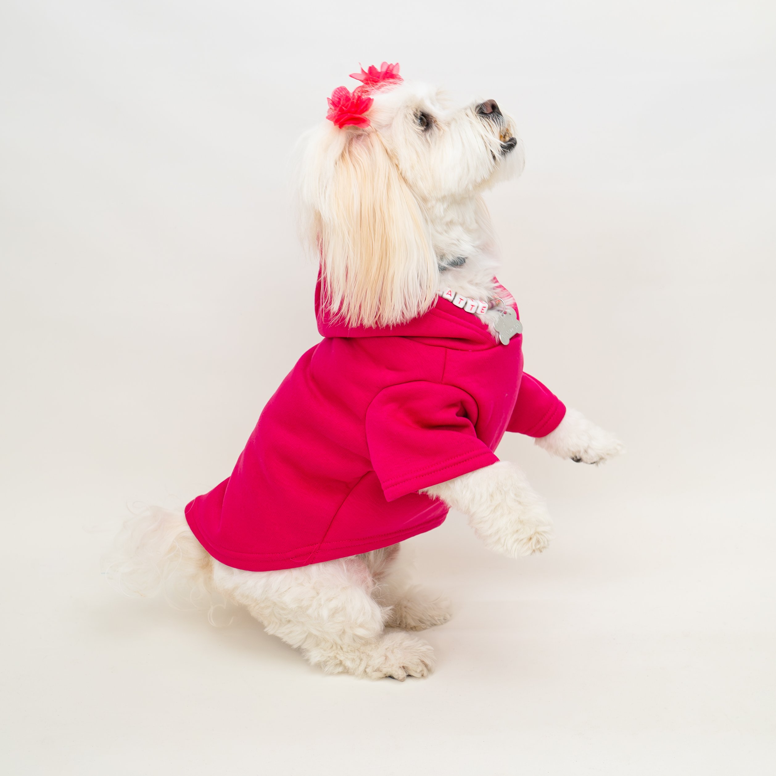 Kedi & Köpek Kıyafeti Sweatshirt - Mickey Baskılı Pembe Sweatshirt