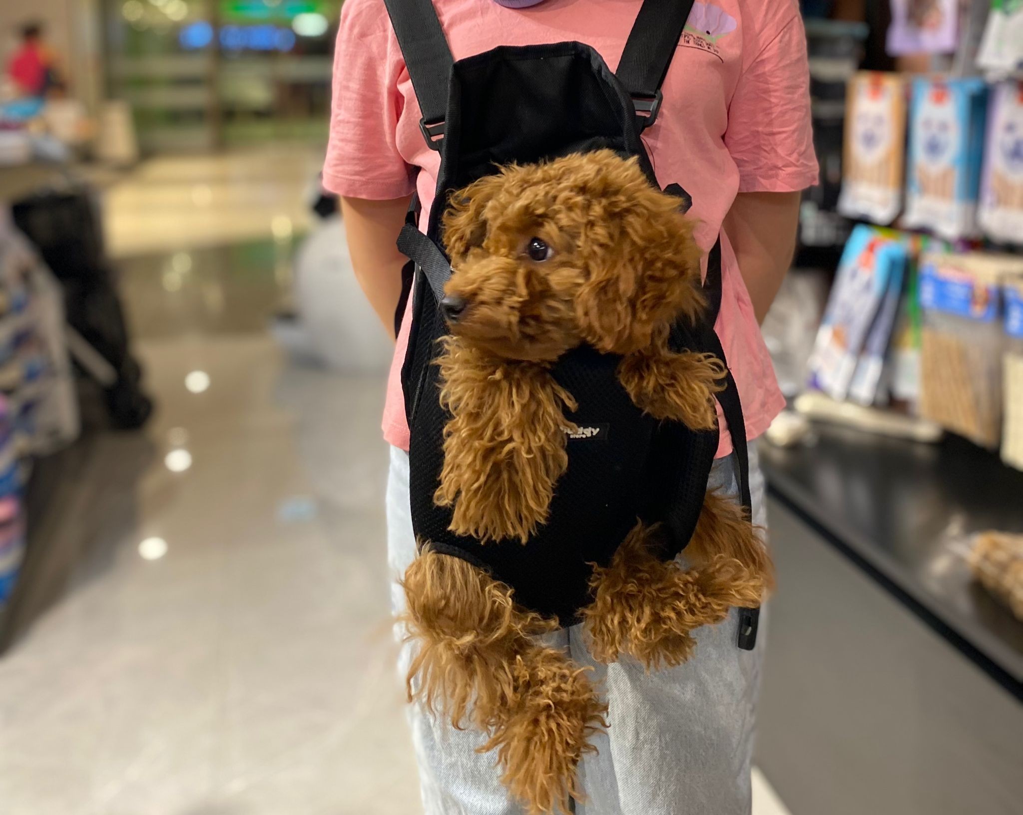 Anakucağı - Kedi ve Köpekler için Kanguru Model