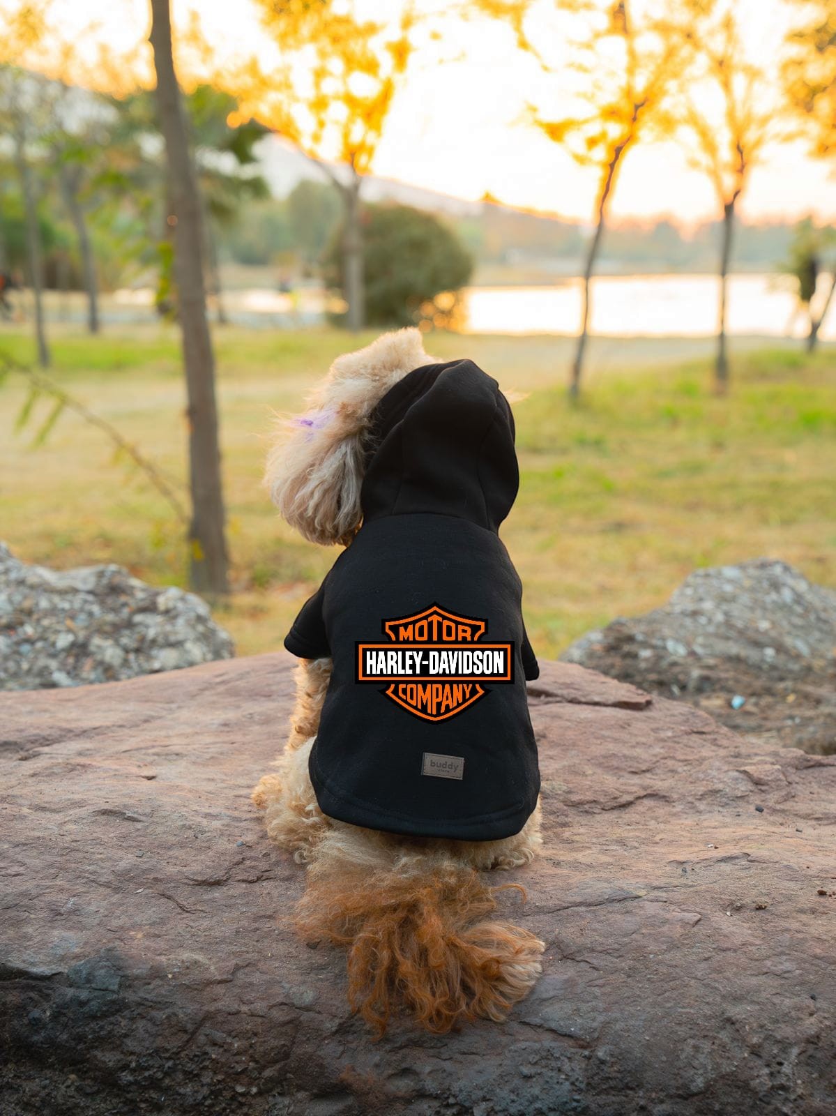 Kedi & Köpek Kıyafeti Sweatshirt - Harley Davidson Baskılı Siyah Sweatshirt