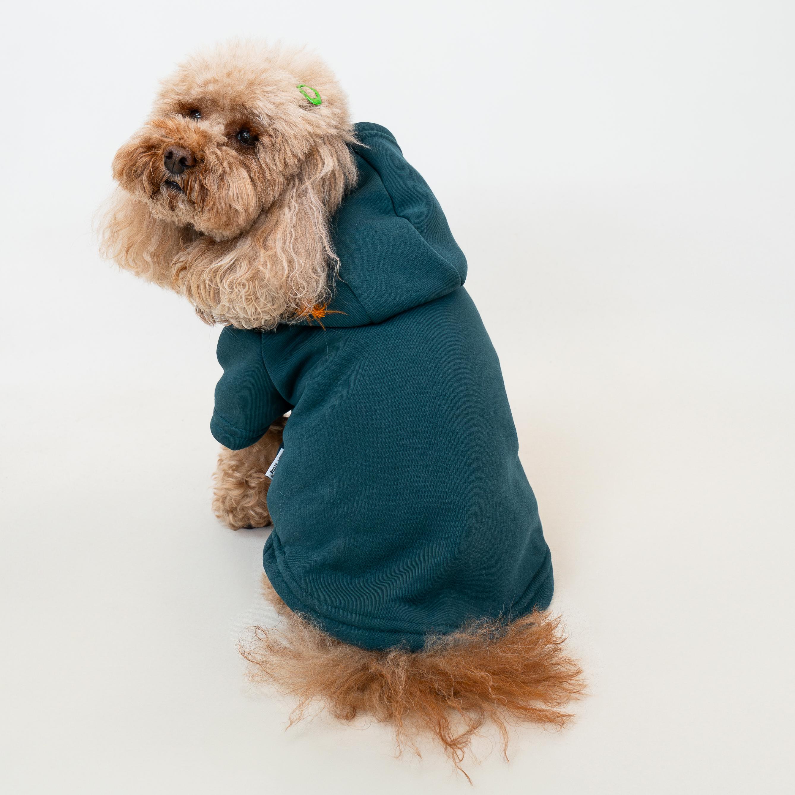 Kedi & Köpek Kıyafeti Sweatshirt Hoodie - Petrol Yeşili Baskısız