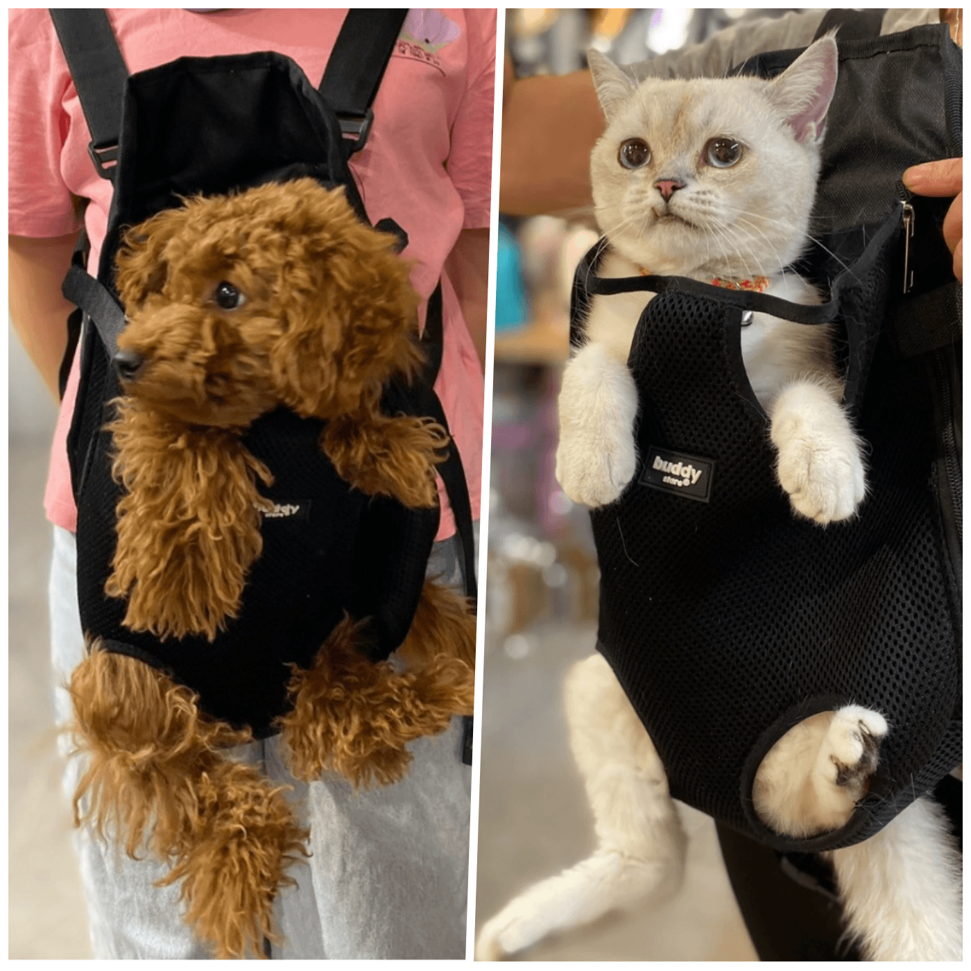 Anakucağı - Kedi ve Köpekler için Kanguru Model