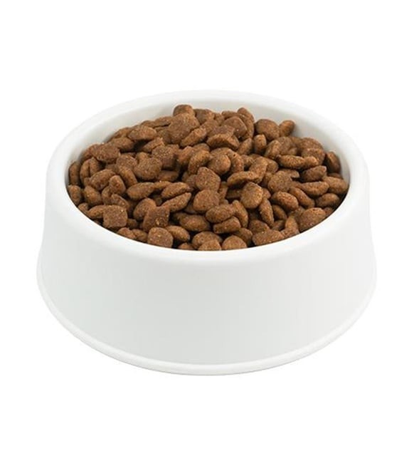REFLEX PLUS DOG Küçük Irk Yetişkin Kuzu Pirinç 1 KG (Açık Mama)