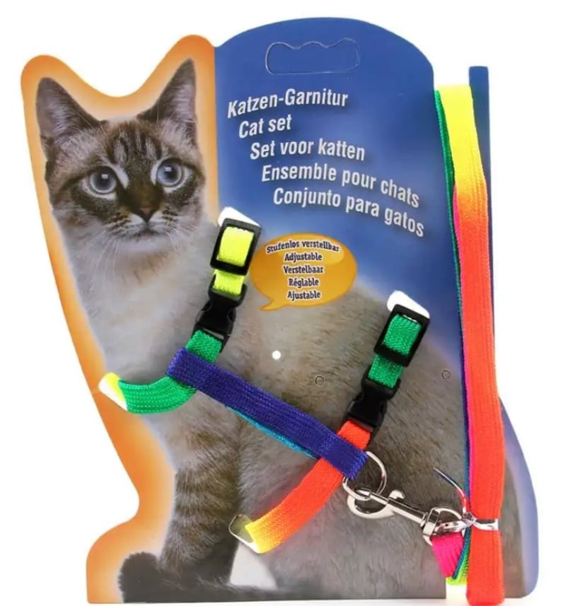 Kedi Bel Tasması Gökkuşağı