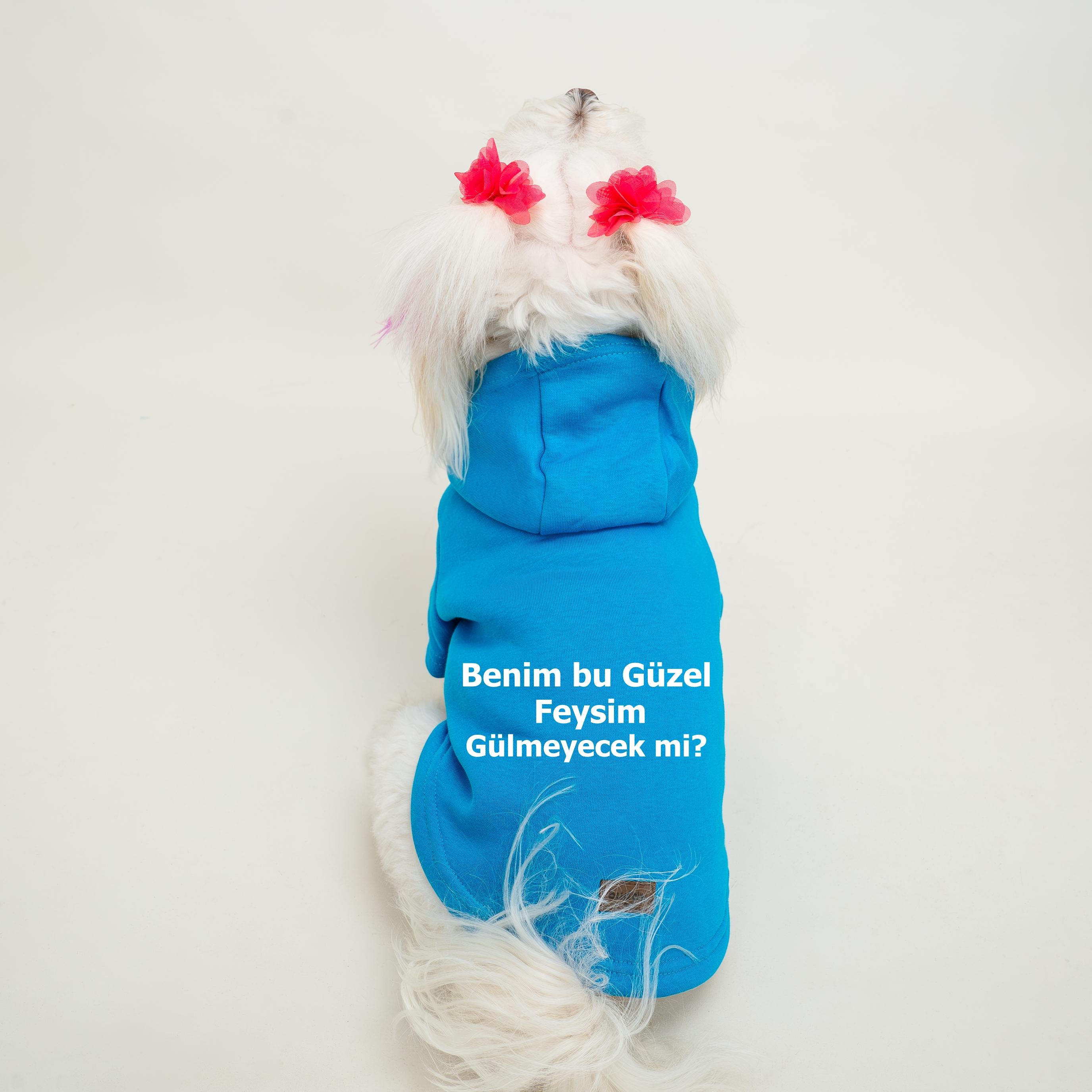 Kedi & Köpek Kıyafeti Sweatshirt - Benim Bu Güzel Feysim Gülmeyecek Mi Baskılı Mavi Sweatshirt