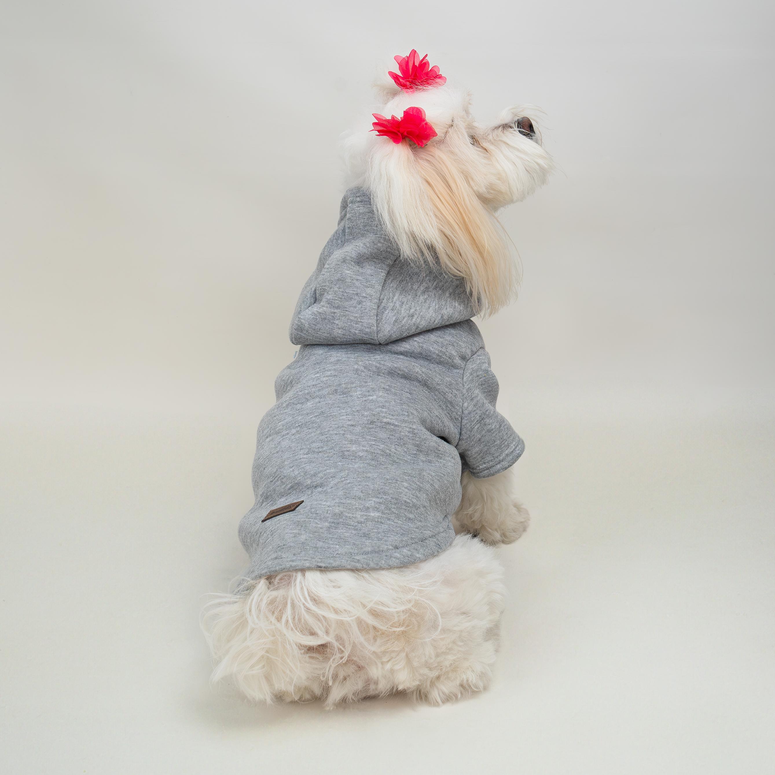 Kedi & Köpek Kıyafeti Sweatshirt - Gri Sweatshirt Hoodie