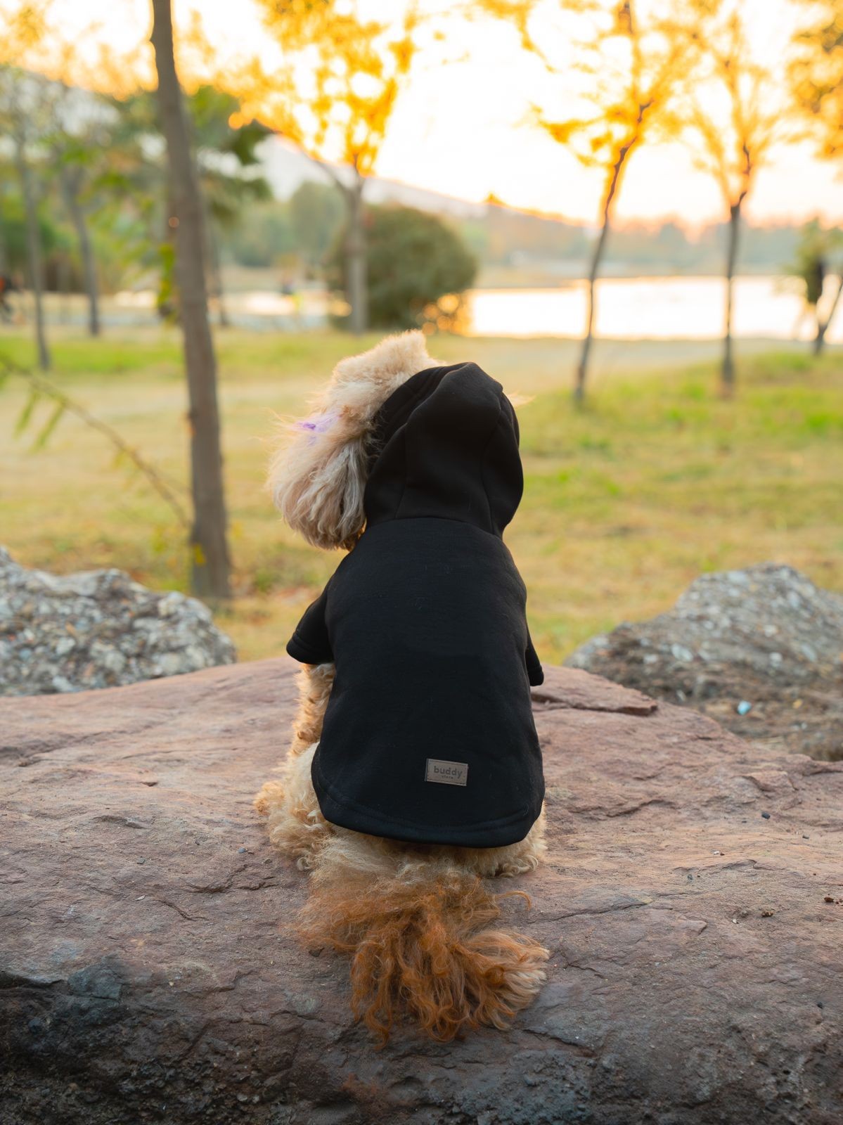 Kedi & Köpek Kıyafeti Sweatshirt - Baskısız Siyah Sweatshirt