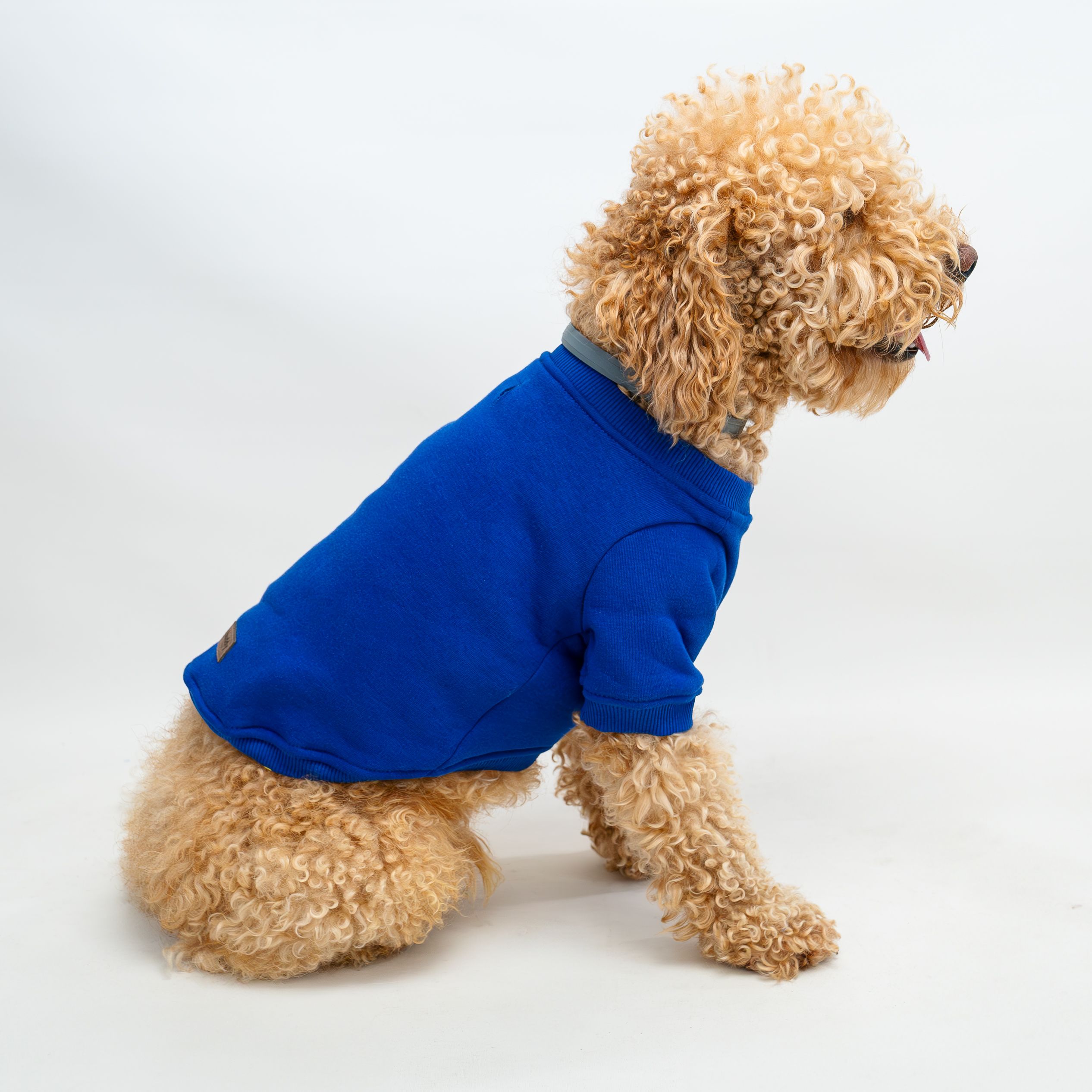 Bisiklet Yaka Sweatshirt - Saks Mavi