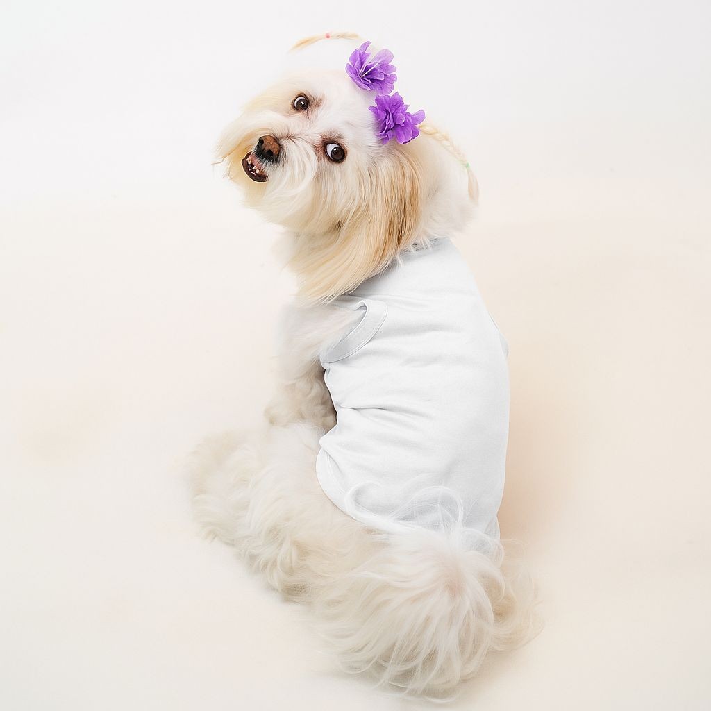 Kedi & Köpek Kıyafetleri - Yazlık Beyaz Atlet Model (Yeni Sezon %100 Pamuk) - Beyaz Baskısız