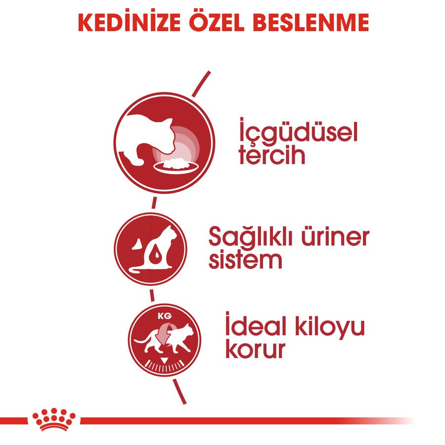 Royal Canin Instinctive Gravy Kedi Pouch 85gr