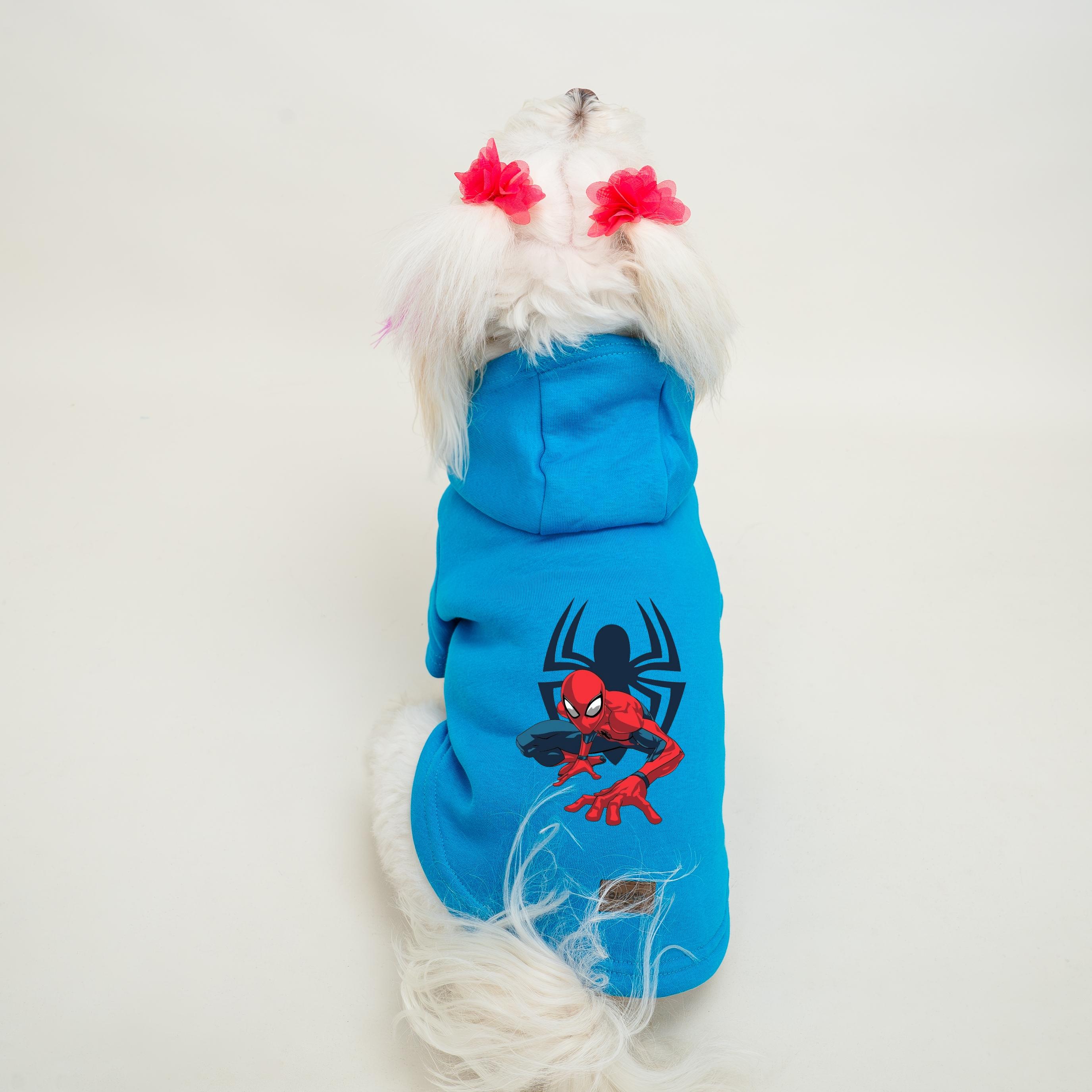 Kedi & Köpek Kıyafeti Sweatshirt - Spider Man Baskılı Mavi Sweatshirt