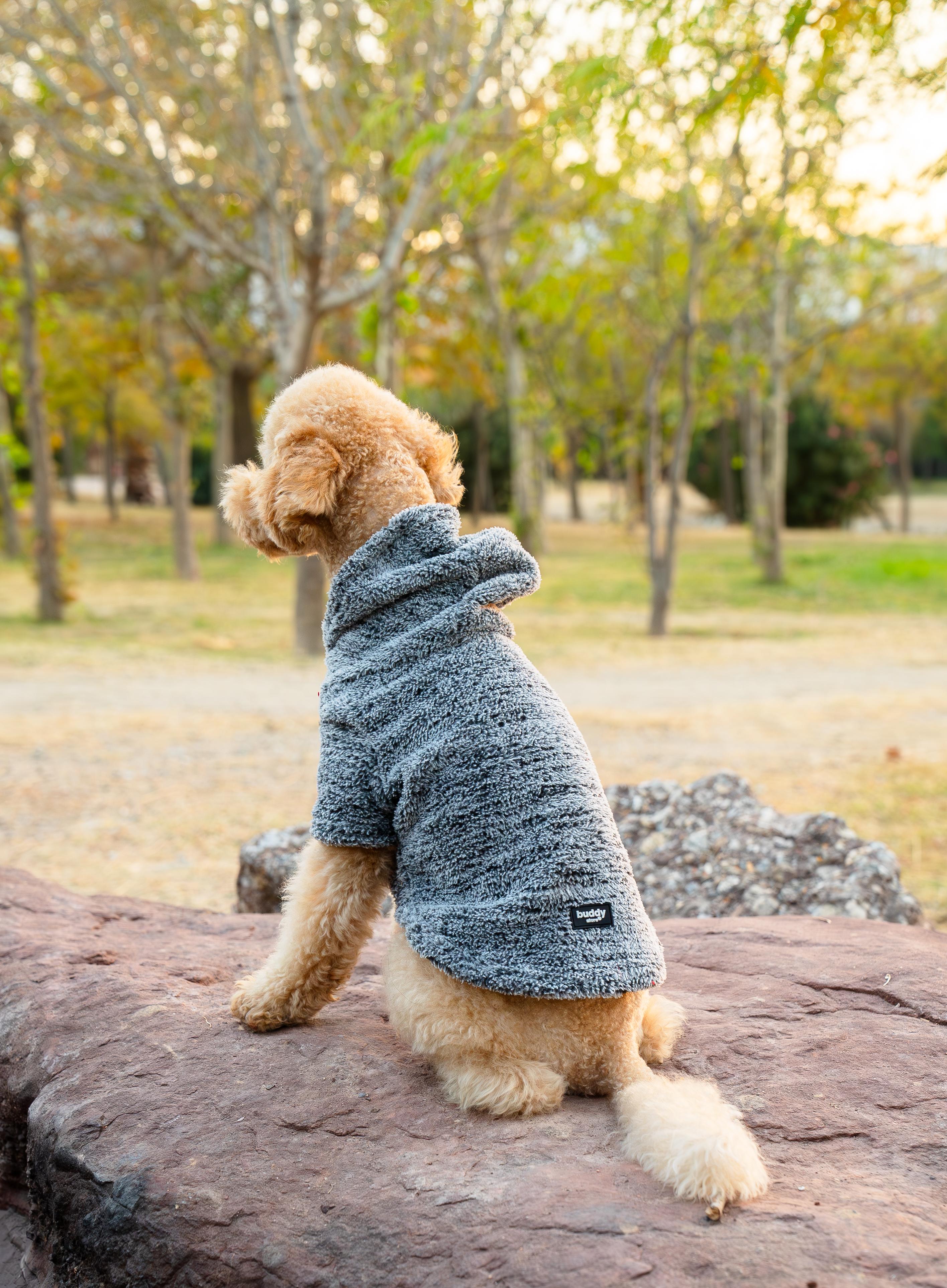 Köpek Kıyafeti Peluş Sweatshirt - Kapüşonlu Koleksiyon - Gri Kırçıl