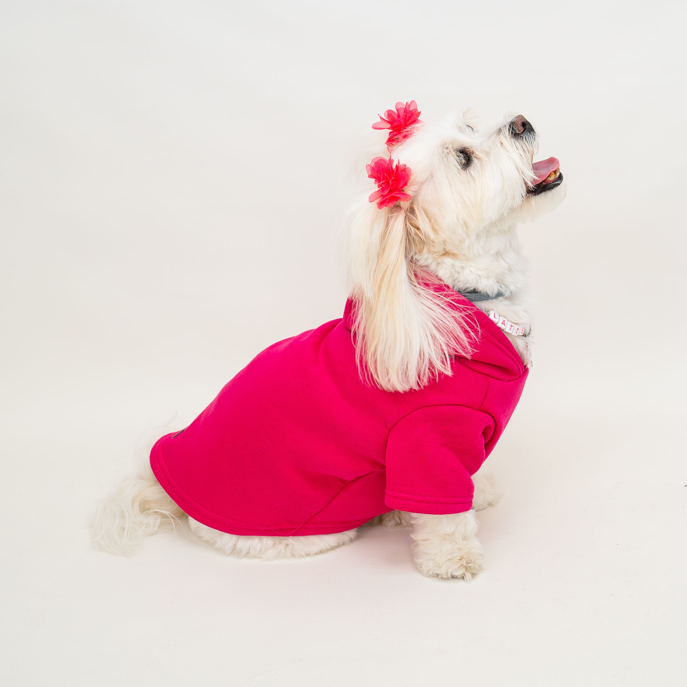 Pembe Sweatshirt Hoodie B2B (5'li Set) S-M-L-XL-XXL