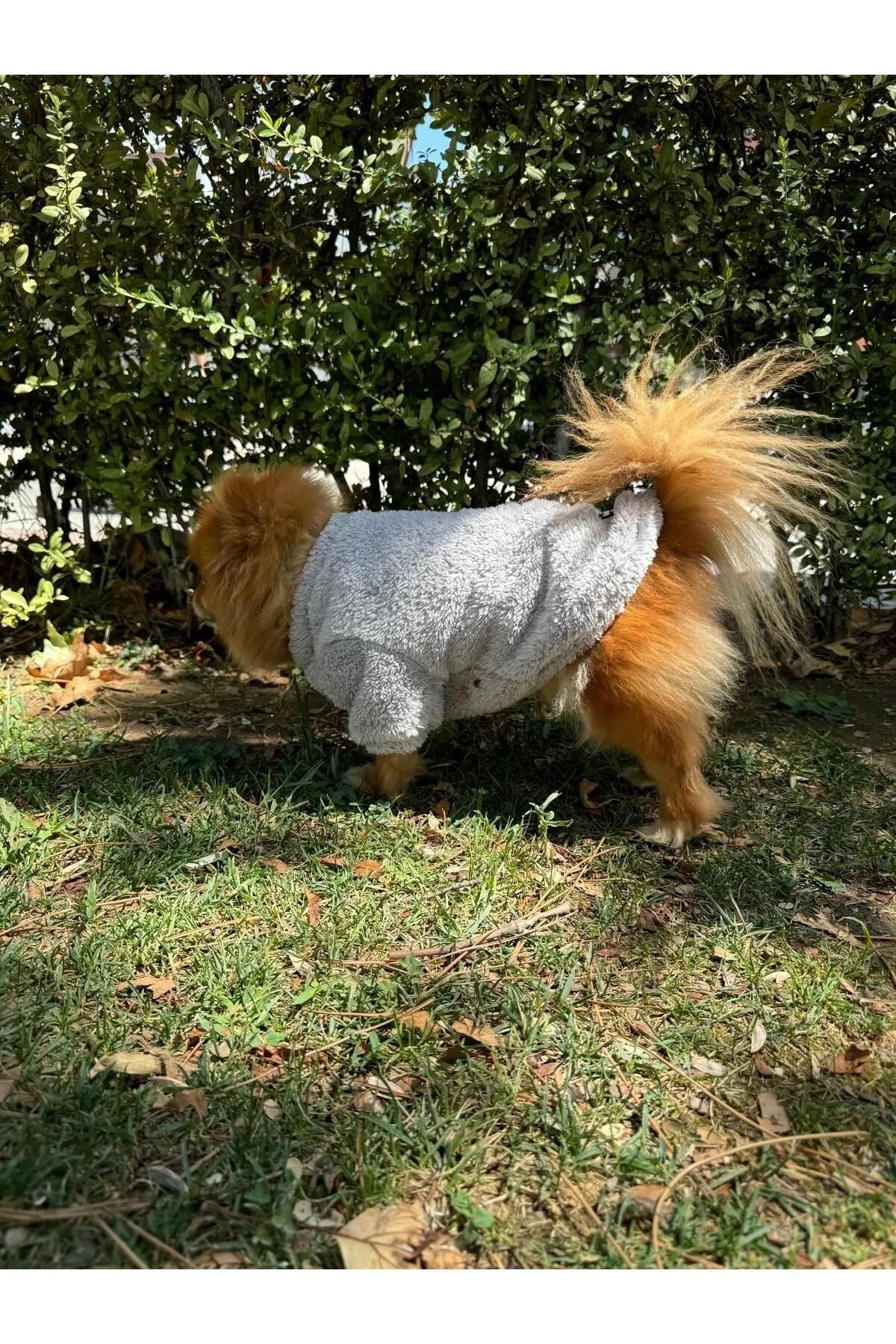 Kedi & Köpek Kıyafeti - Gri Bisiklet Yaka Peluş Sweatshirt main variant image